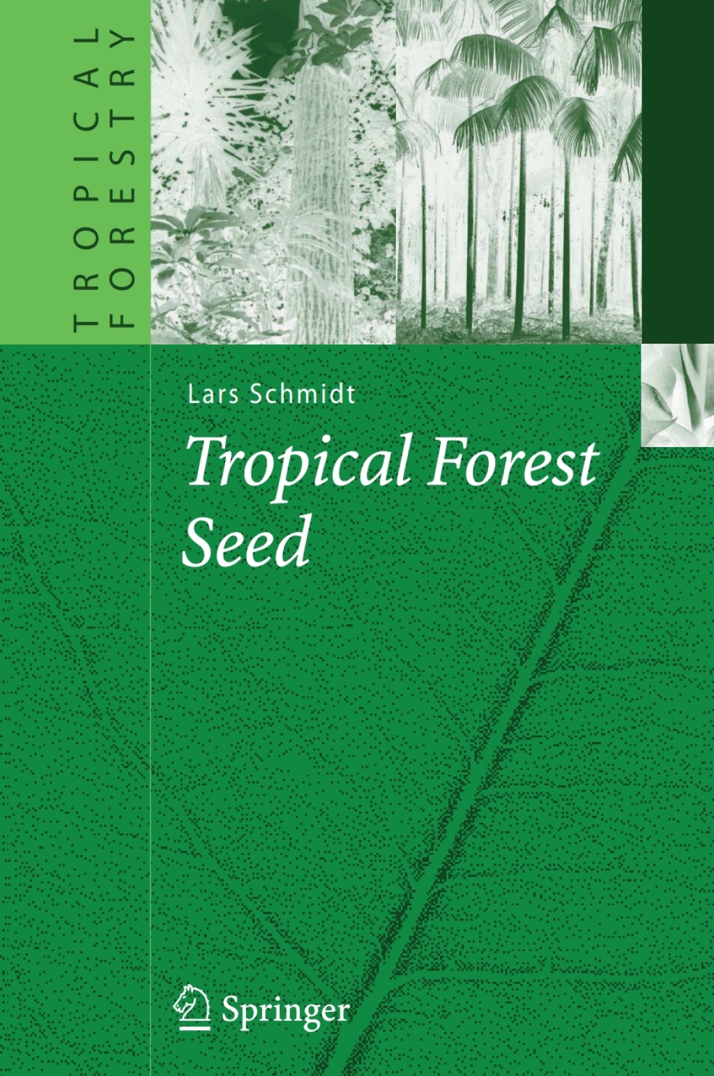 Tropical Forest Seed 