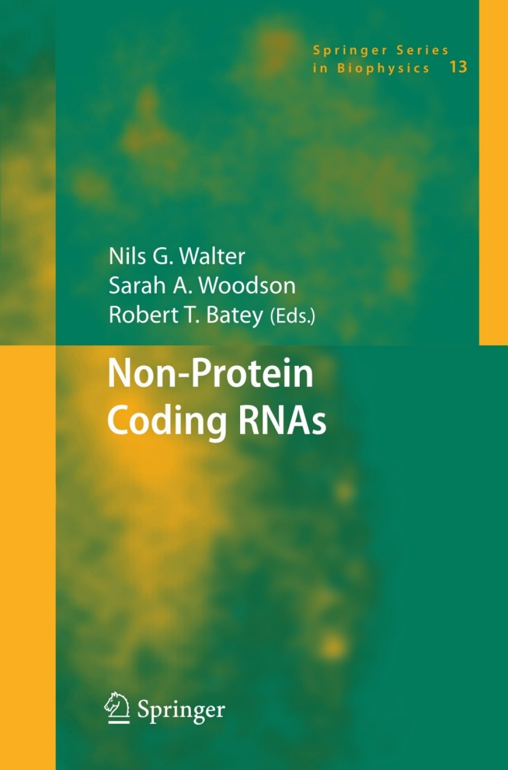 Non-Protein Coding RNAs 1st Edition