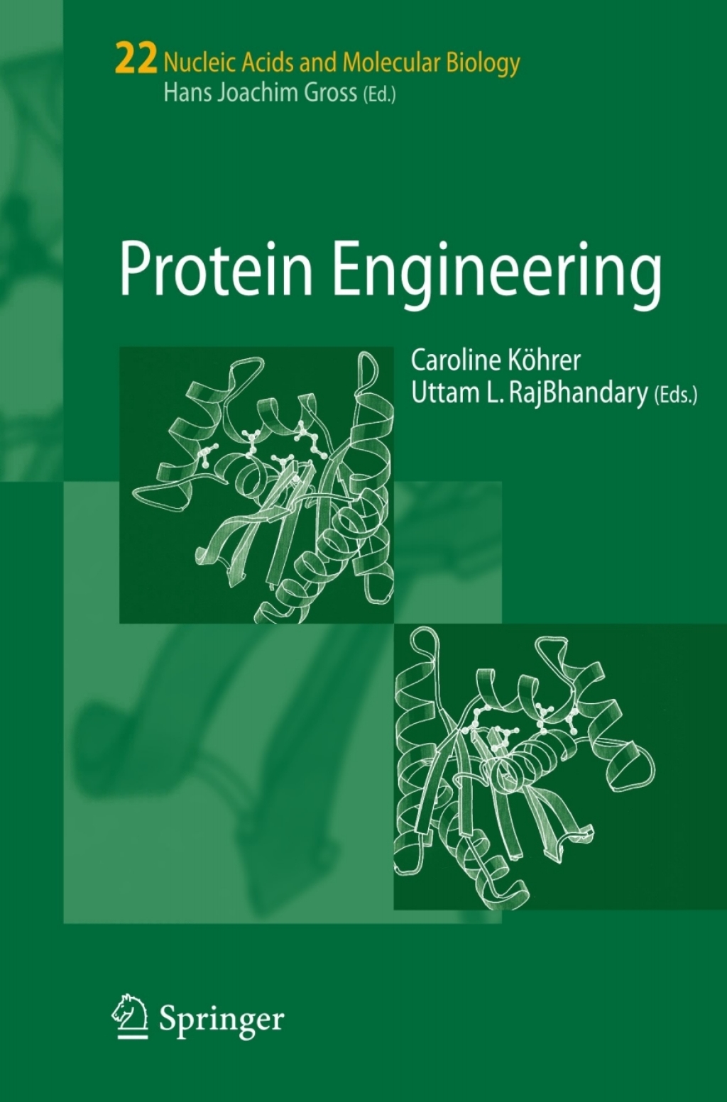 Protein Engineering 1st Edition