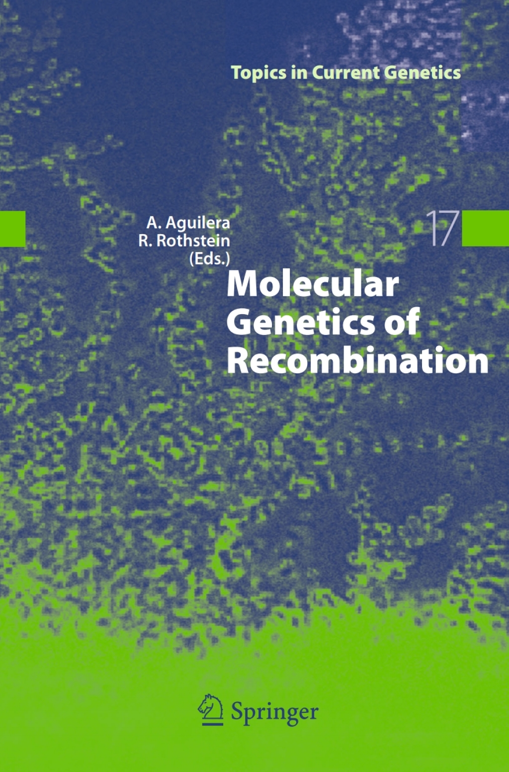 Molecular Genetics of Recombination 1st Edition