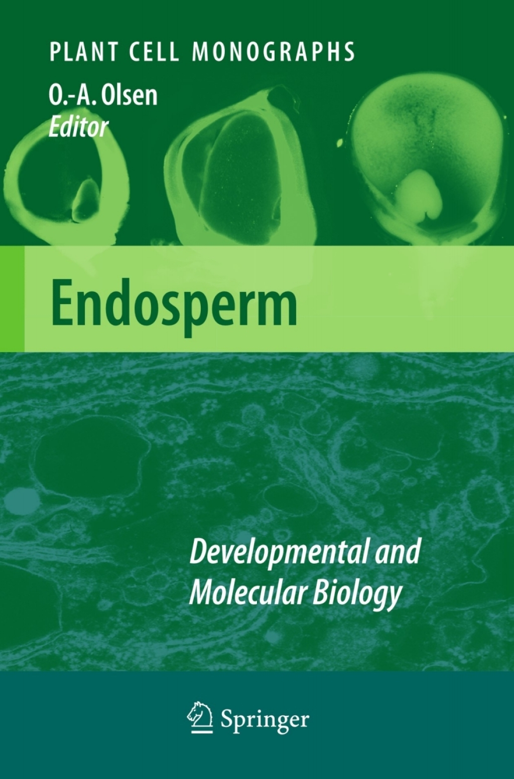 Endosperm Developmental and Molecular Biology 1st Edition