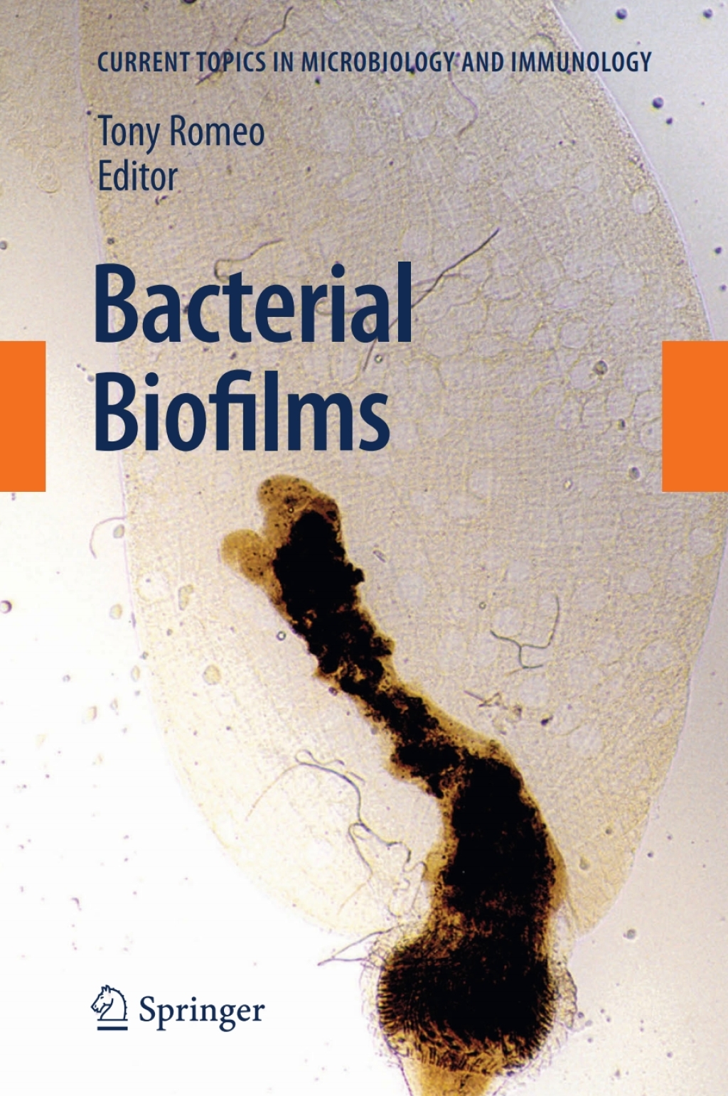 Bacterial Biofilms 1st Edition