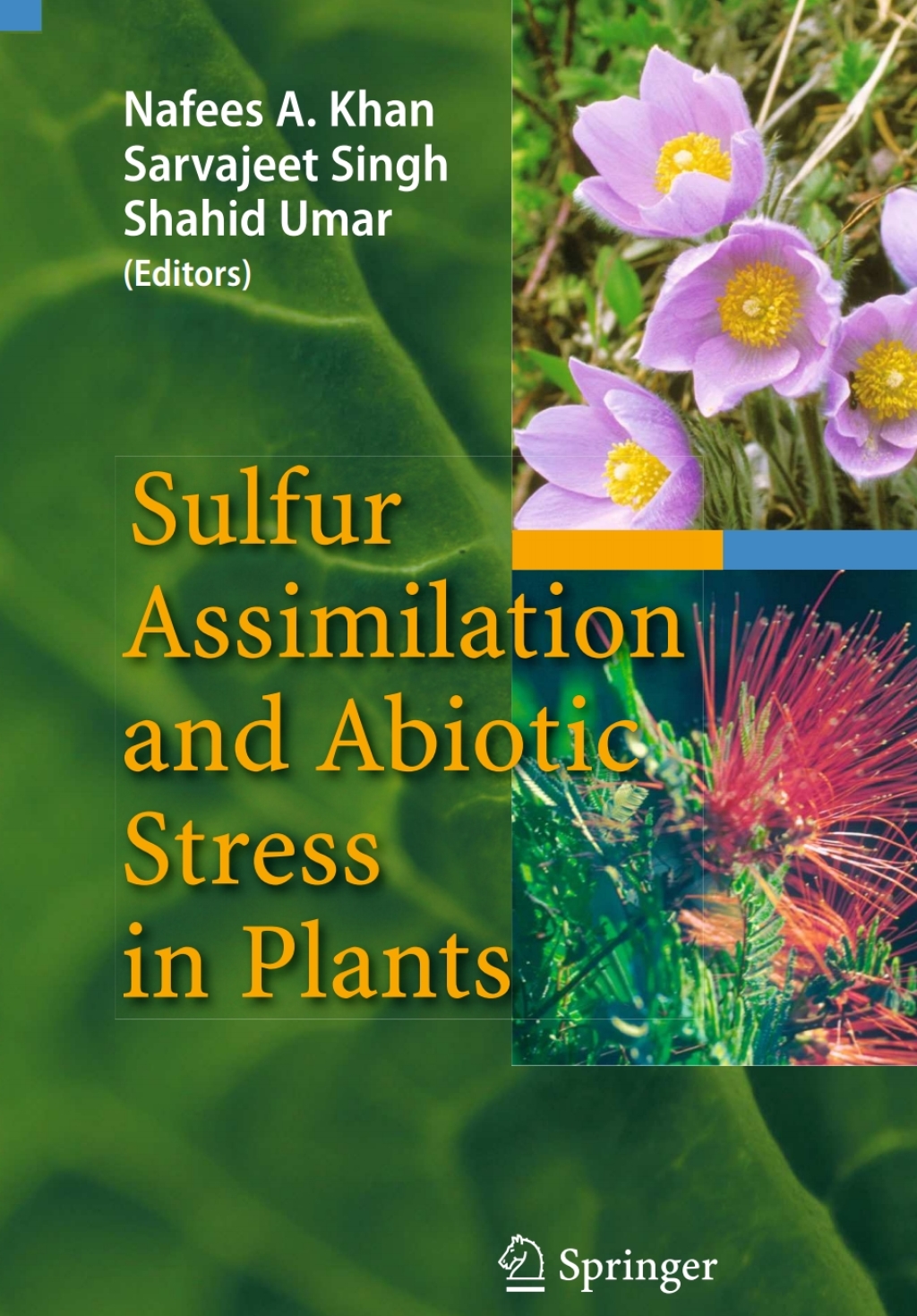 Sulfur Assimilation and Abiotic Stress in Plants 1st Edition