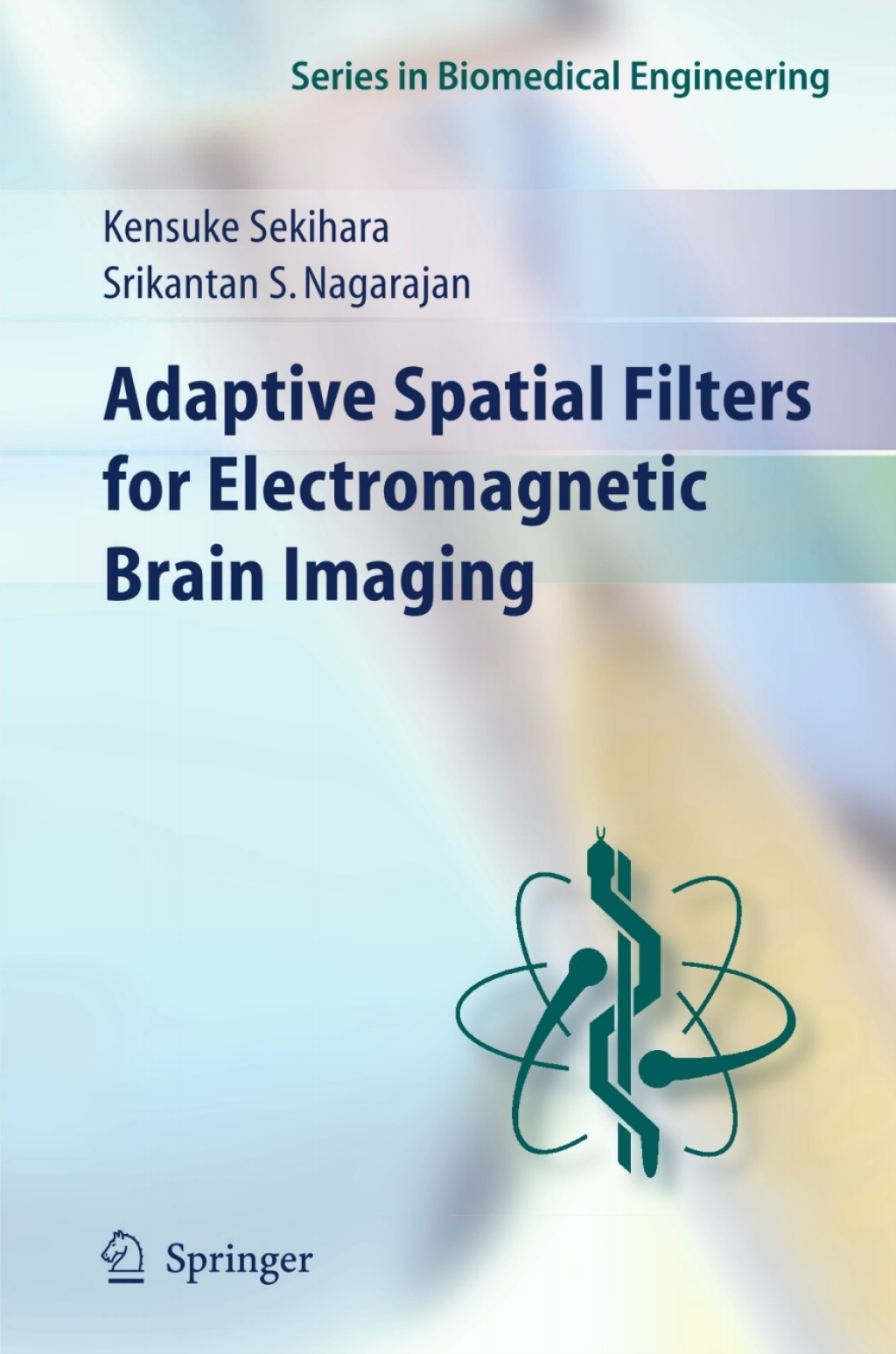Adaptive Spatial Filters for Electromagnetic Brain Imaging 