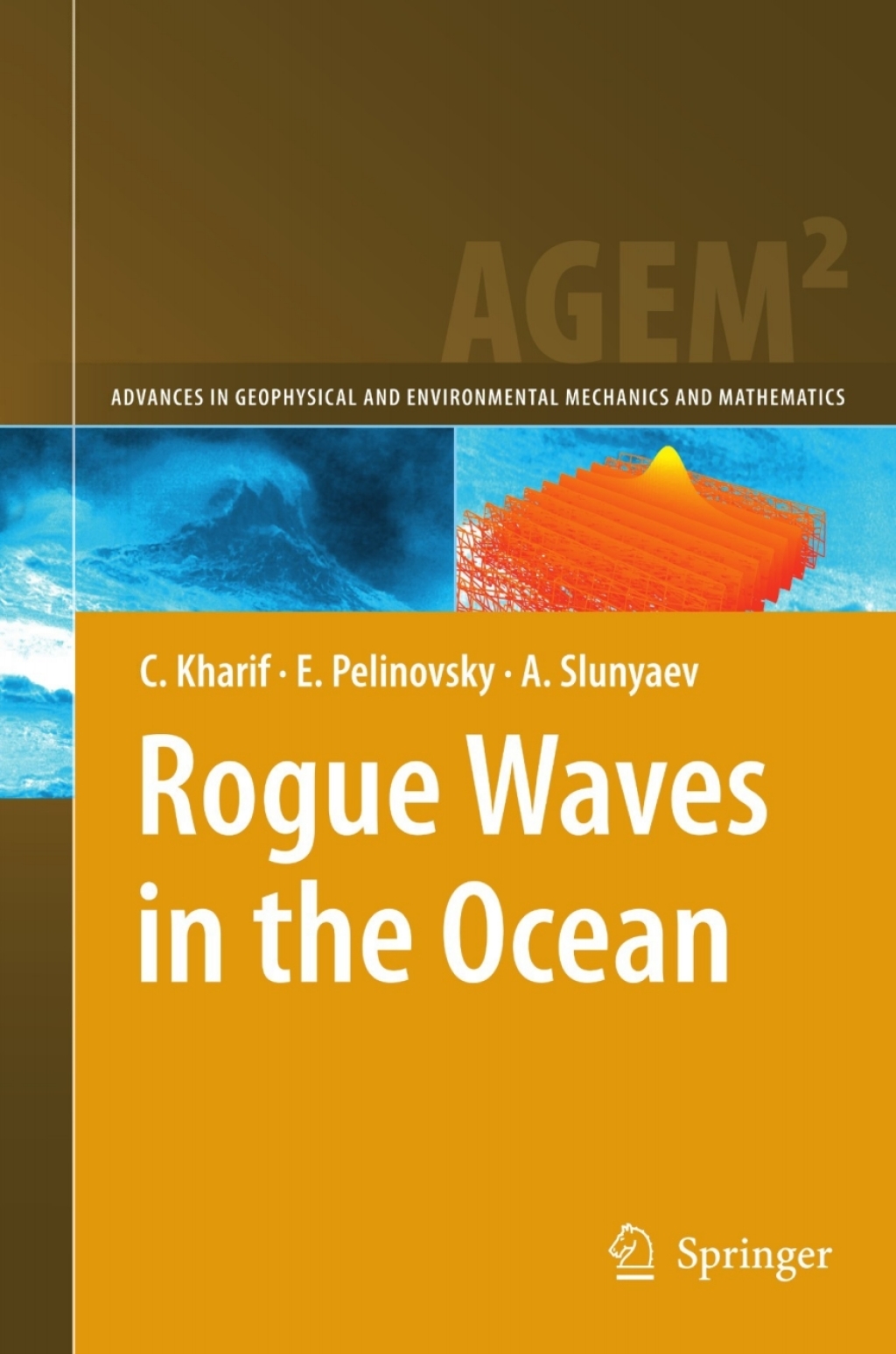 Rogue Waves in the Ocean 