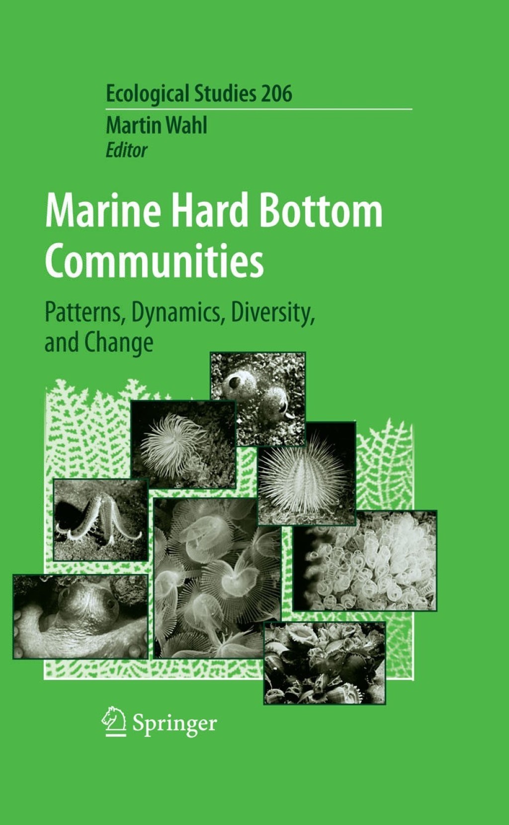 Marine Hard Bottom Communities Patterns, Dynamics, Diversity, and Change 1st Edition