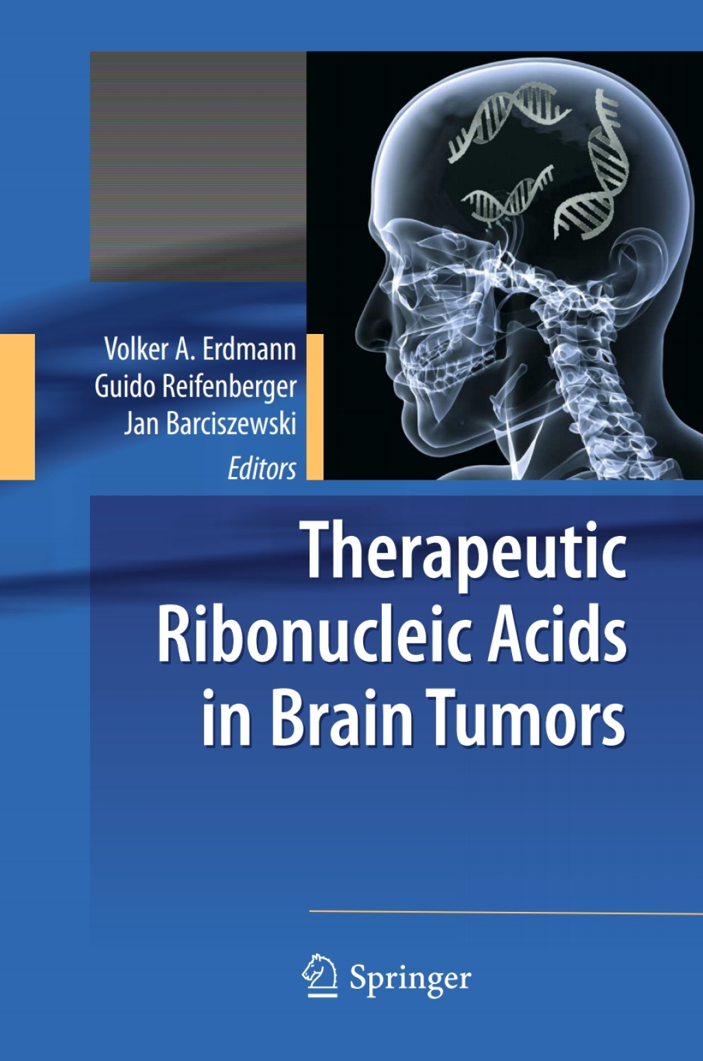 Therapeutic Ribonucleic Acids in Brain Tumors 