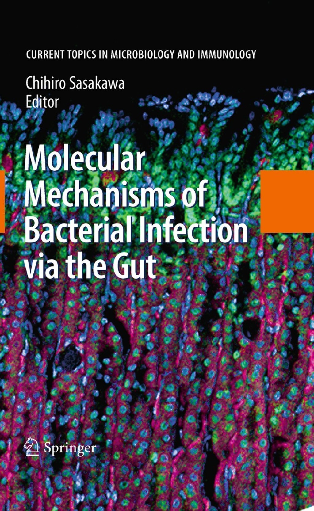 Molecular Mechanisms of Bacterial Infection via the Gut 1st Edition