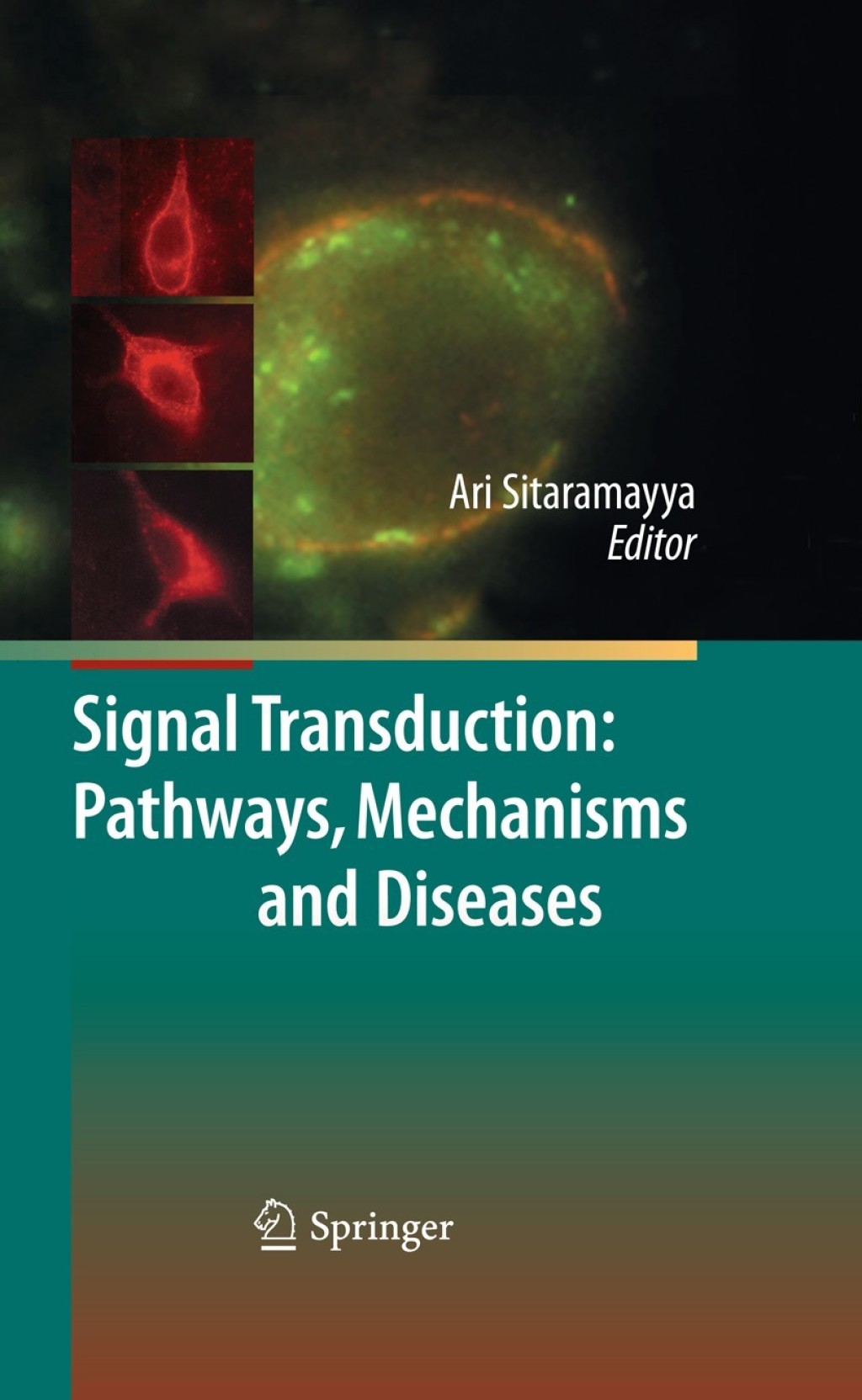 Signal Transduction: Pathways, Mechanisms and Diseases 1st Edition