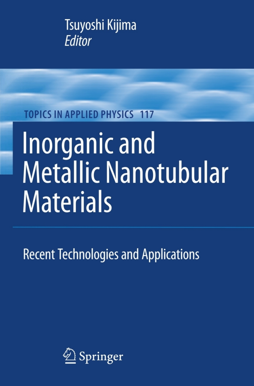 Inorganic and Metallic Nanotubular Materials Recent Technologies and Applications 1st Edition