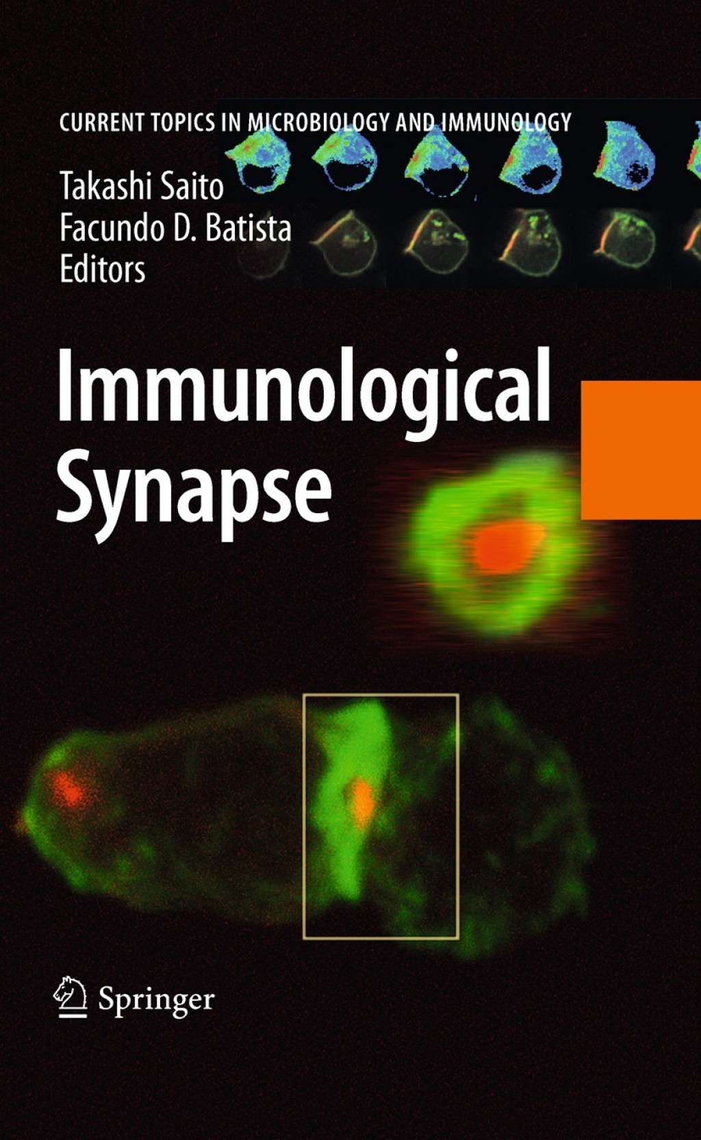 Immunological Synapse 1st Edition