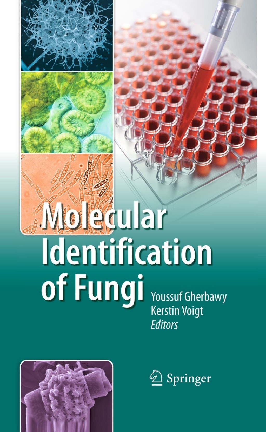 Molecular Identification of Fungi 1st Edition