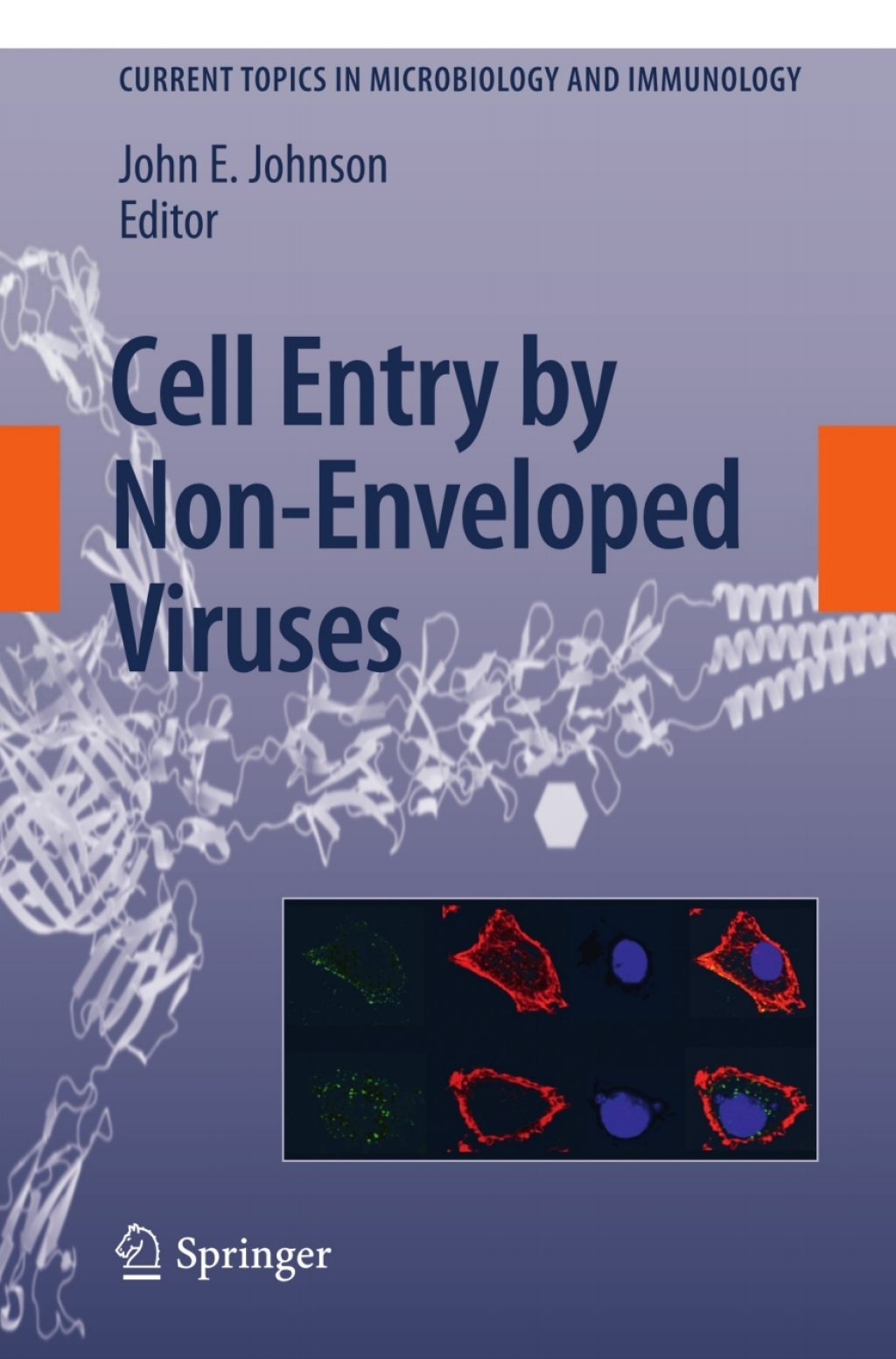Cell Entry by Non-Enveloped Viruses 