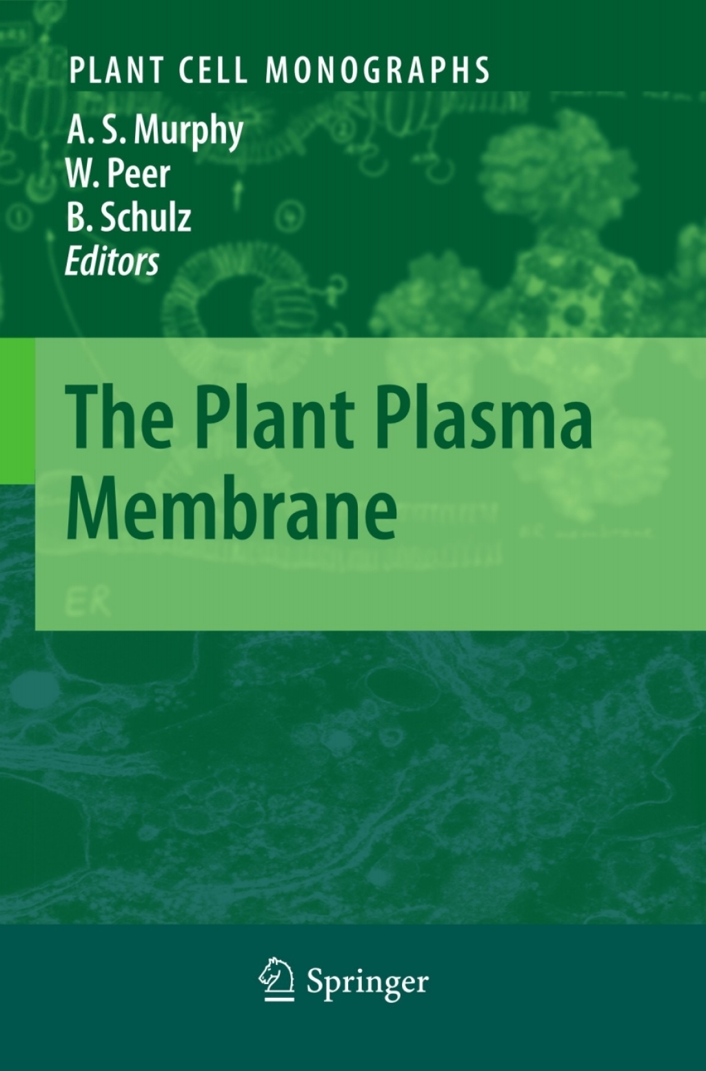 The Plant Plasma Membrane 