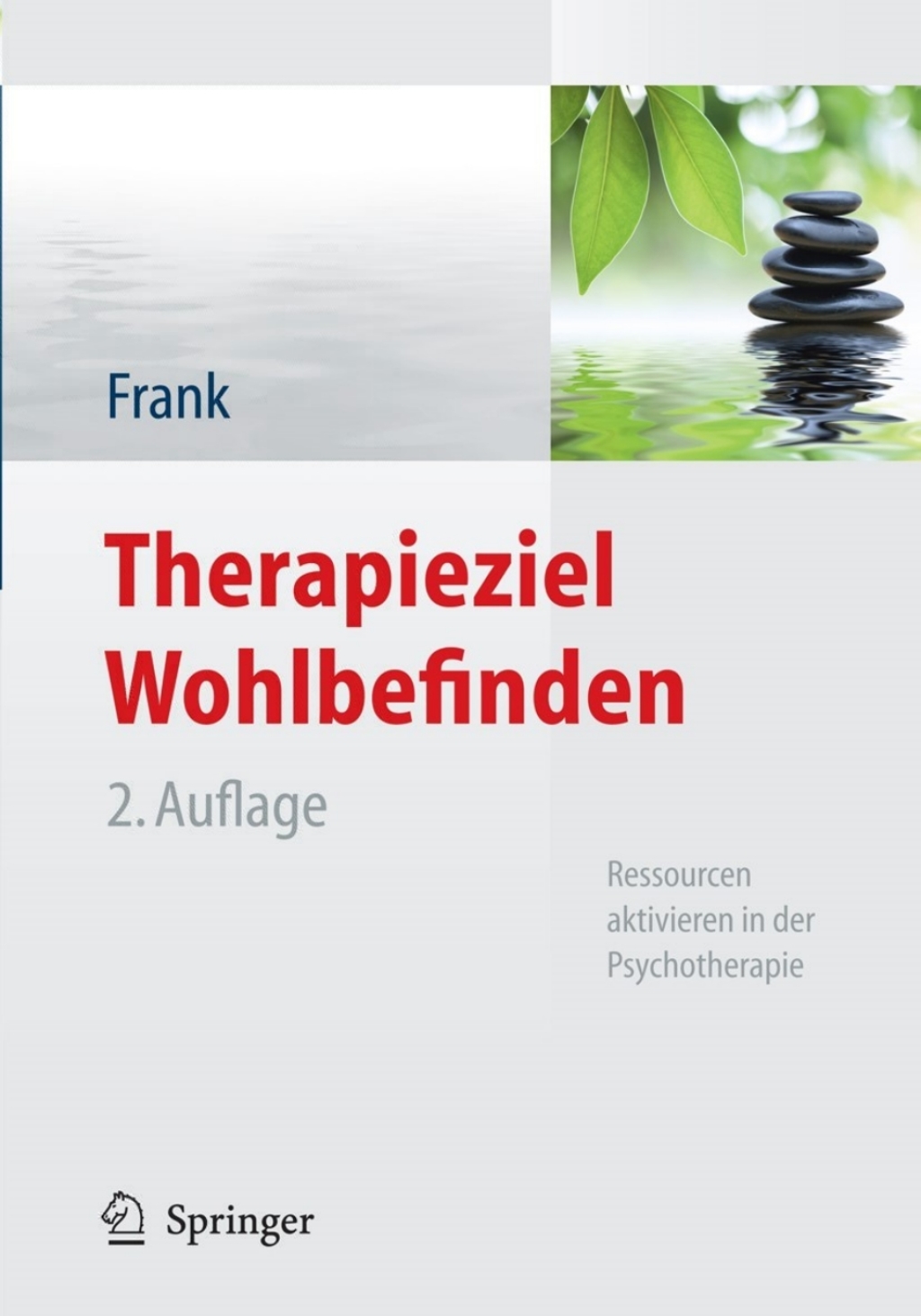 Therapieziel Wohlbefinden Ressourcen aktivieren in der Psychotherapie 2nd Edition