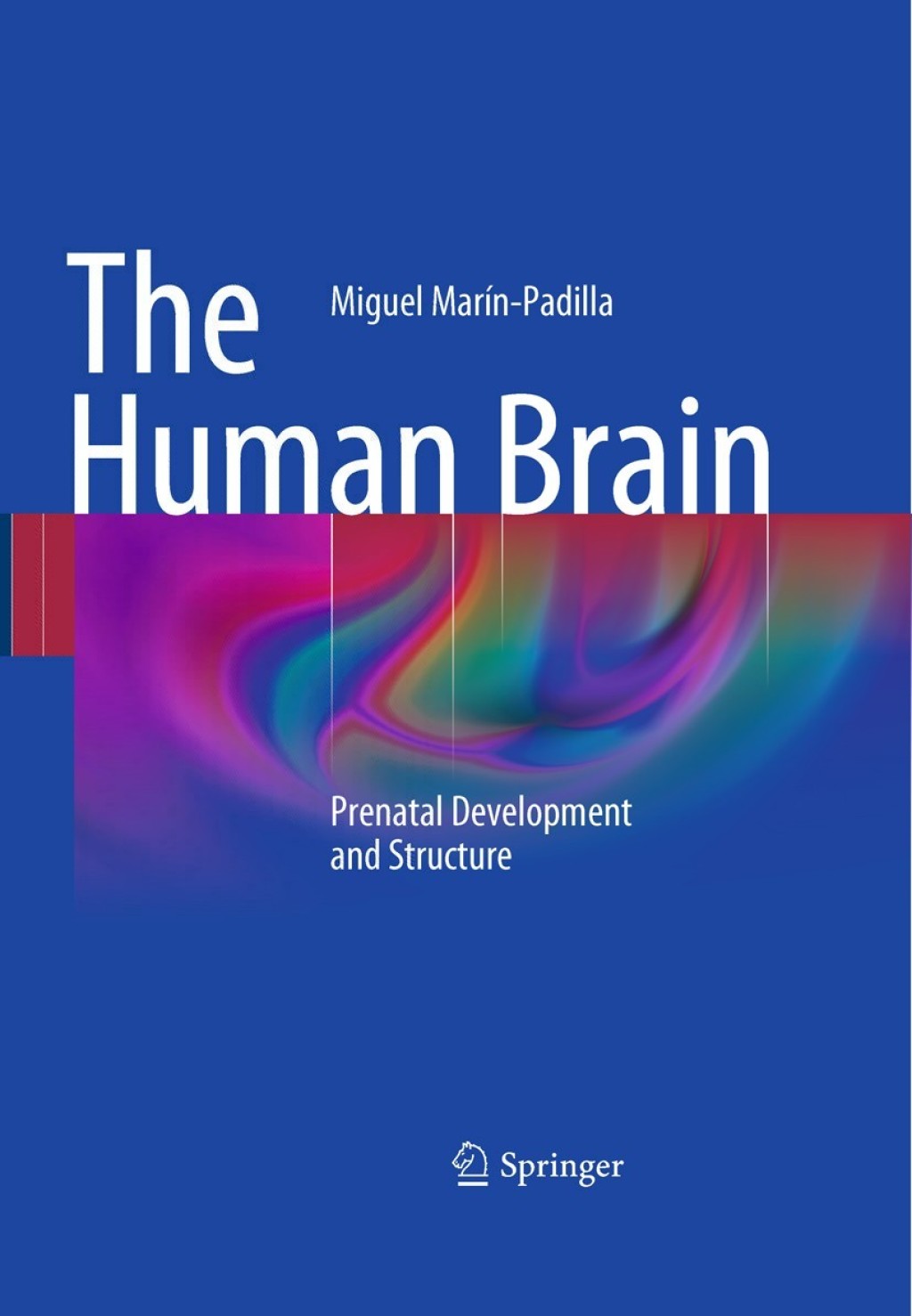 The Human Brain 