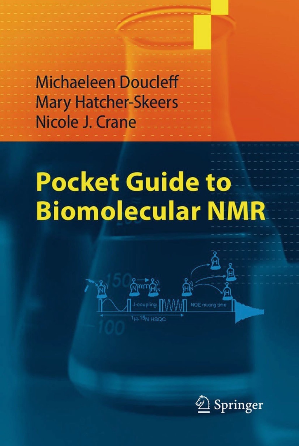 Pocket Guide to Biomolecular NMR 