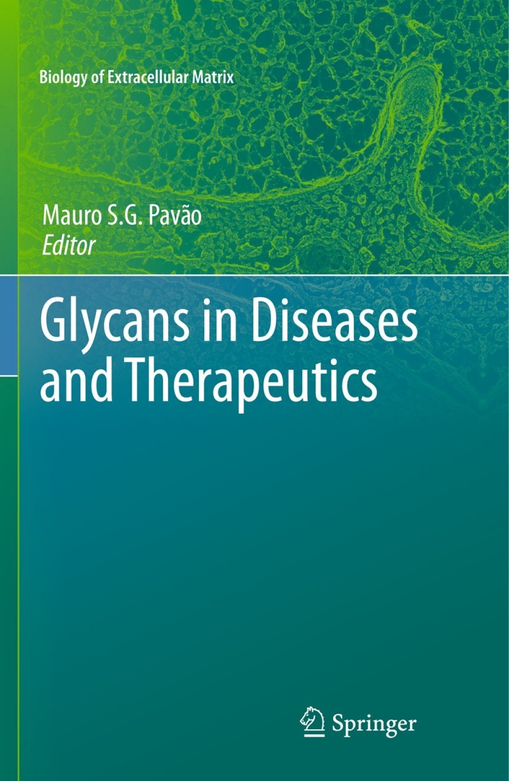 Glycans in Diseases and Therapeutics 1st Edition
