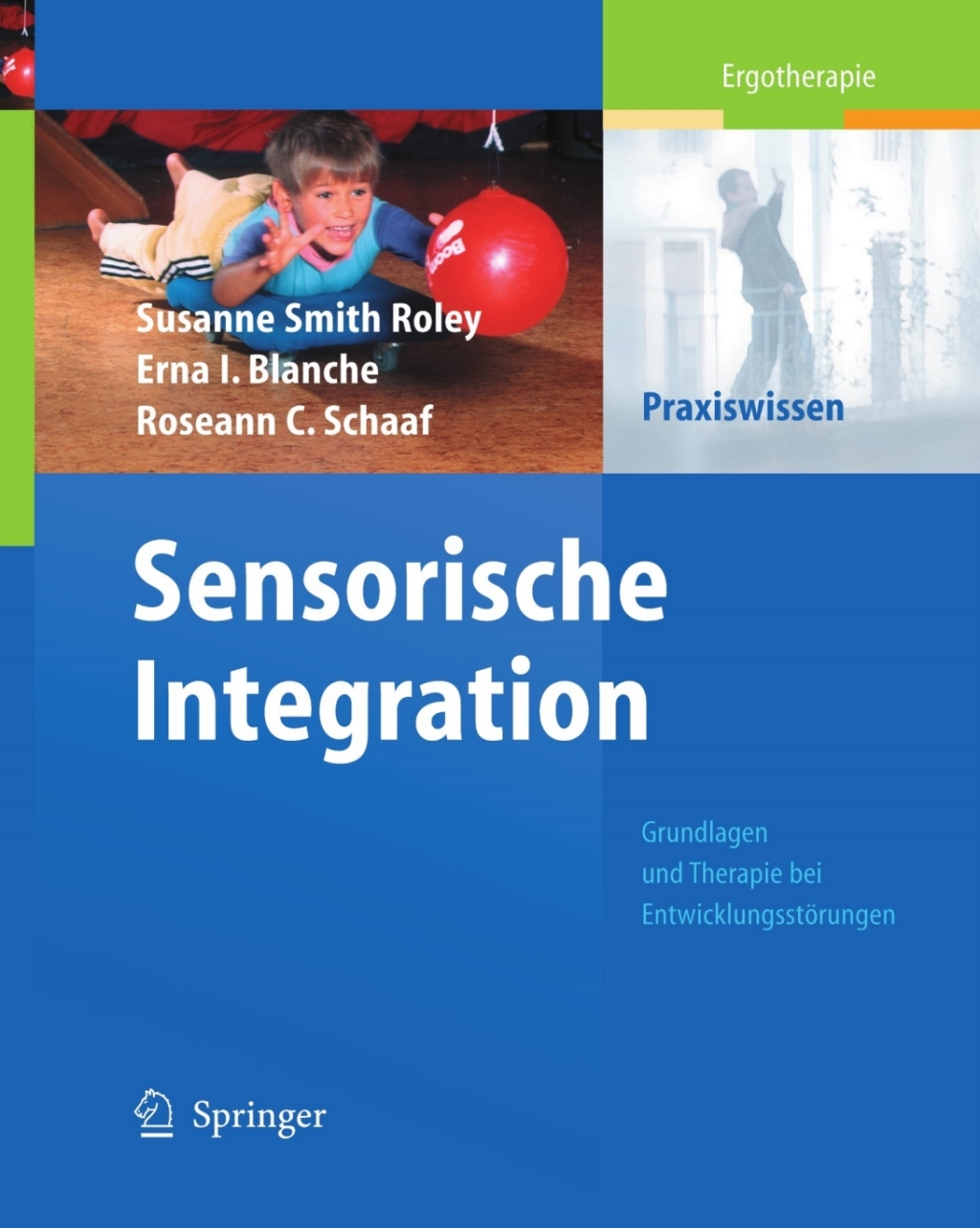 Sensorische Integration Grundlagen und Therapie bei EntwicklungsstÃƒÂ¶rungen 1st Edition
