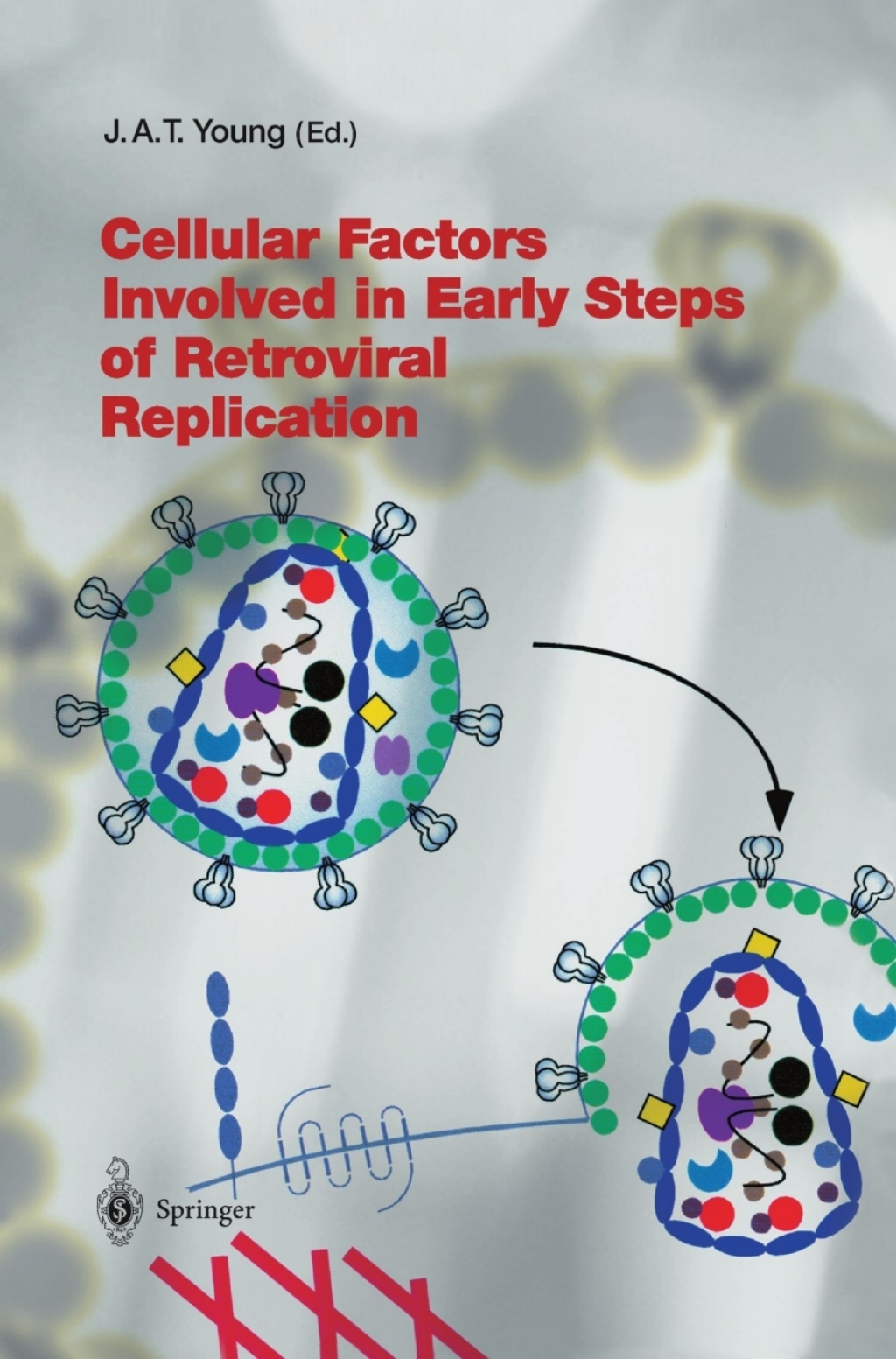 Cellular Factors Involved in Early Steps of Retroviral Replication 1st Edition