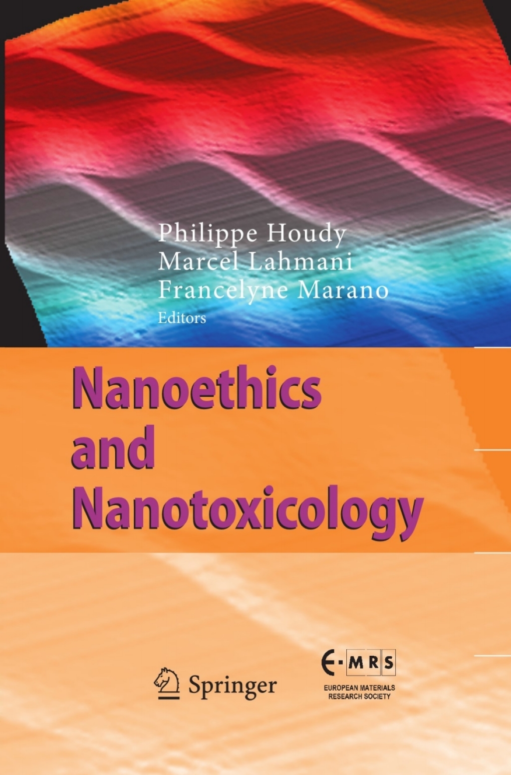 Nanoethics and Nanotoxicology 1st Edition