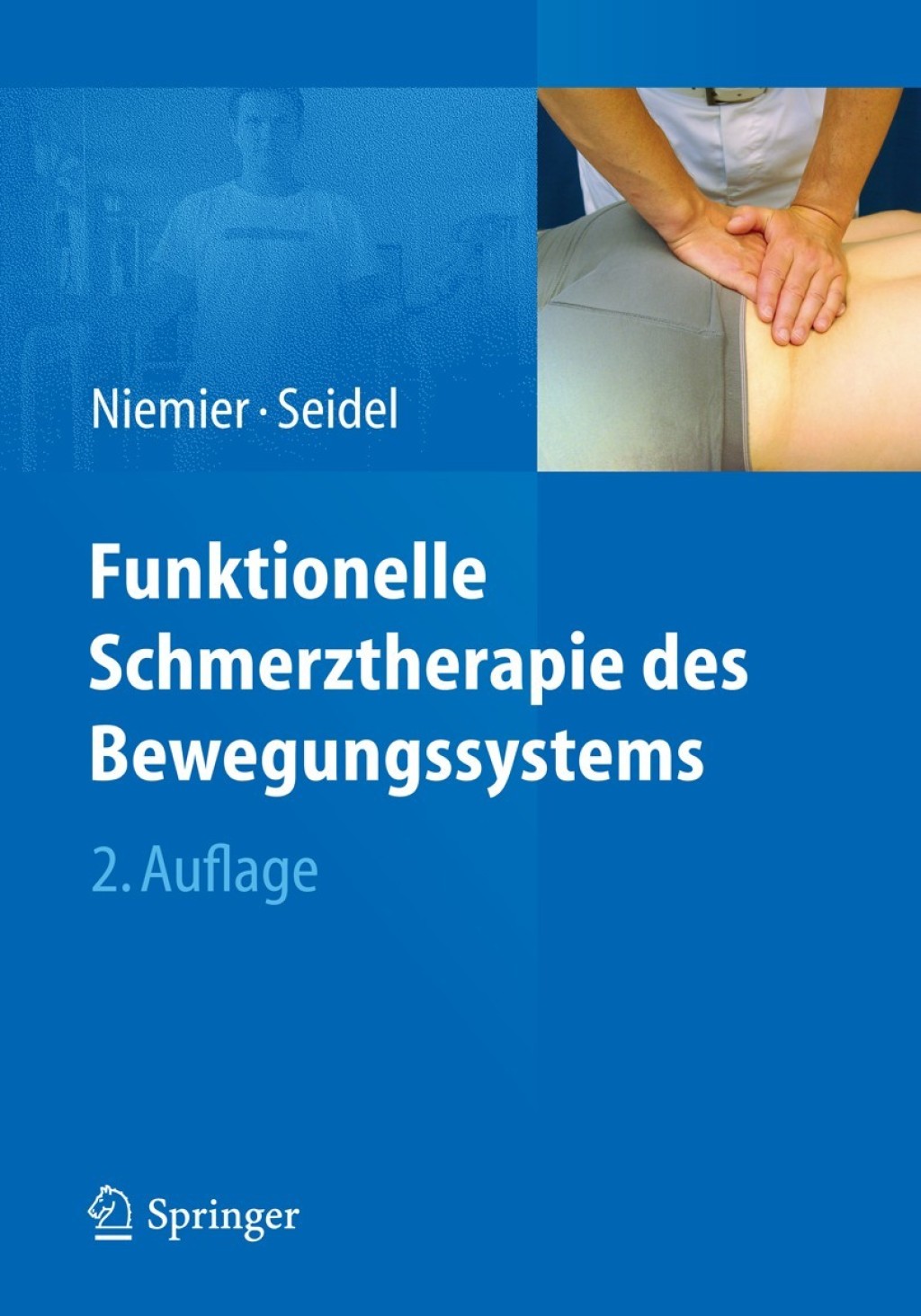 Funktionelle Schmerztherapie des Bewegungssystems 2nd Edition
