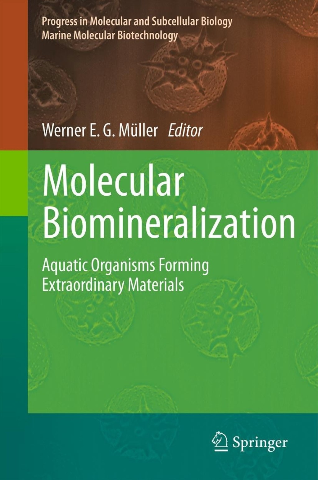 Molecular Biomineralization Aquatic Organisms Forming Extraordinary Materials 1st Edition