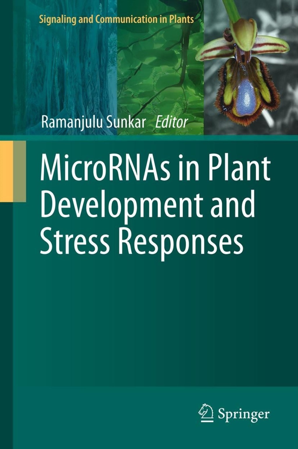 MicroRNAs in Plant Development and Stress Responses 1st Edition