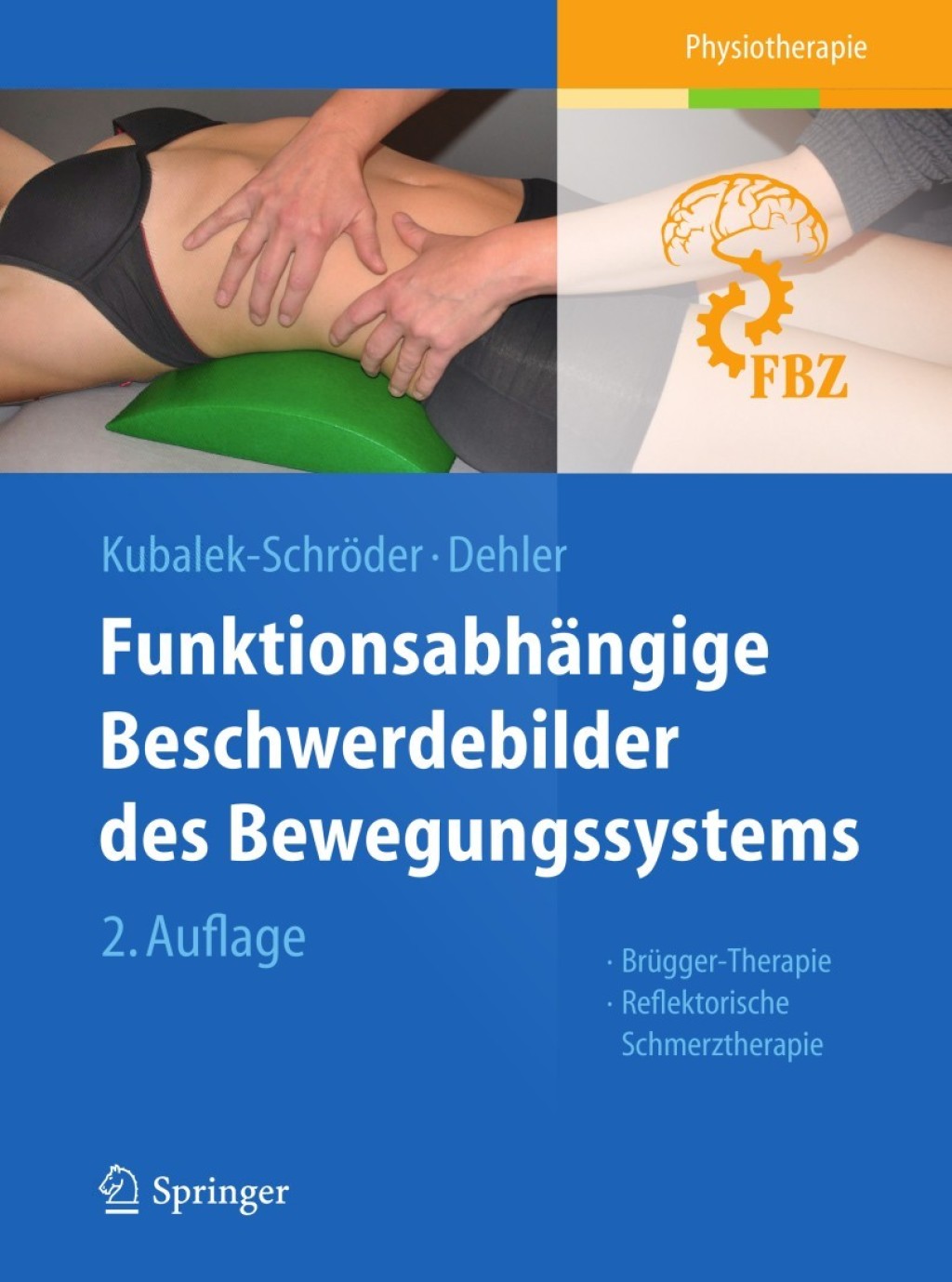 FunktionsabhÃƒÂ¤ngige Beschwerdebilder des Bewegungssystems BrÃƒÂ¼gger-Therapie - Reflektorische Schmerztherapie 2nd Edition