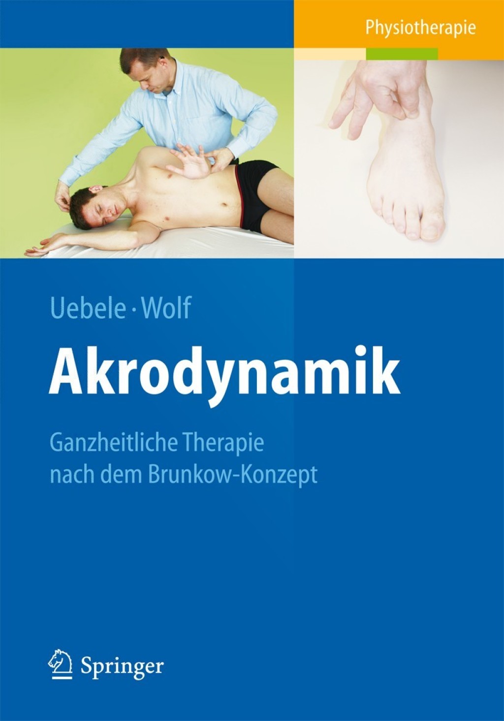 Akrodynamik Ganzheitliche Therapie nach dem Brunkow-Konzept 