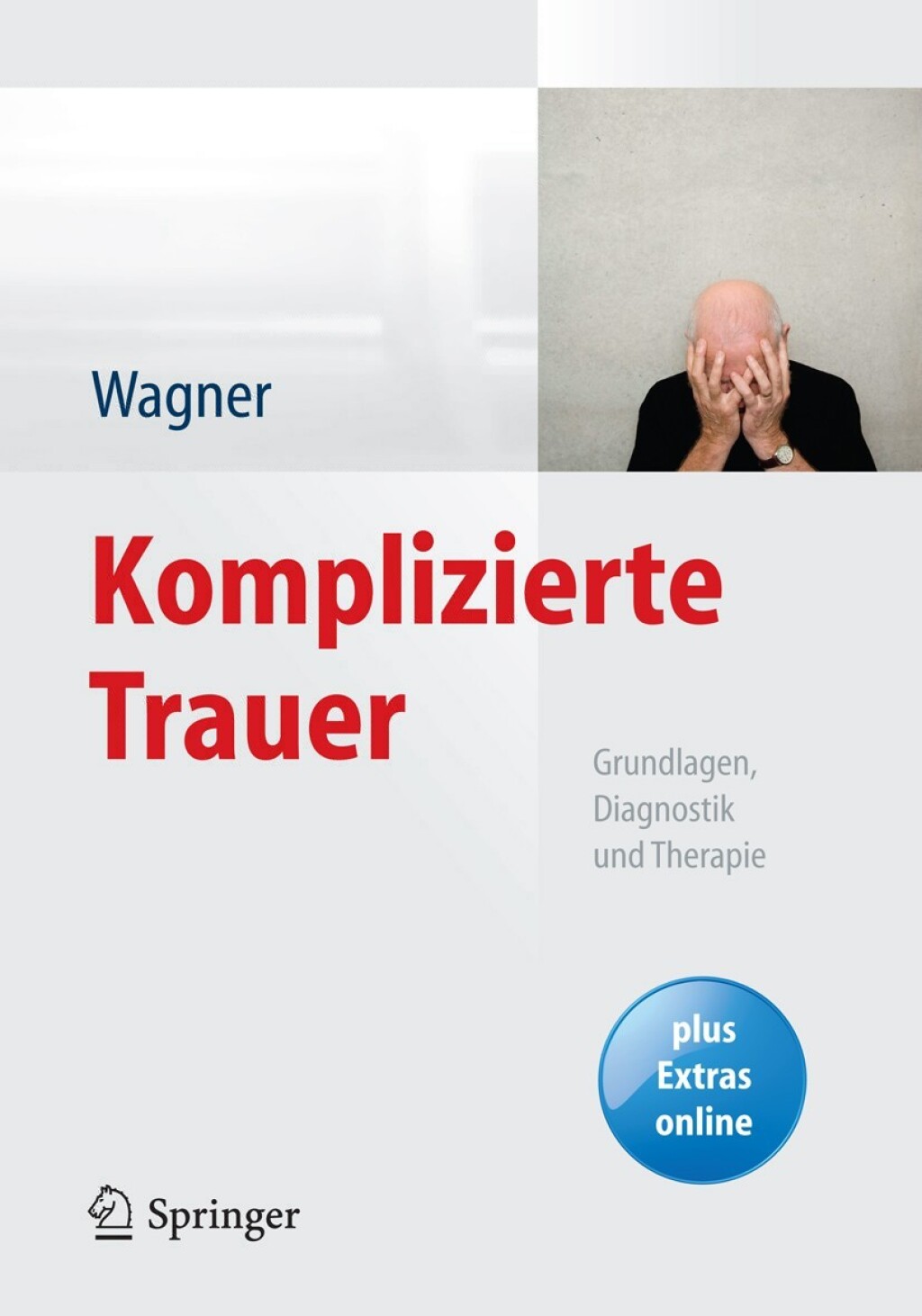 Komplizierte Trauer Grundlagen, Diagnostik und Therapie 