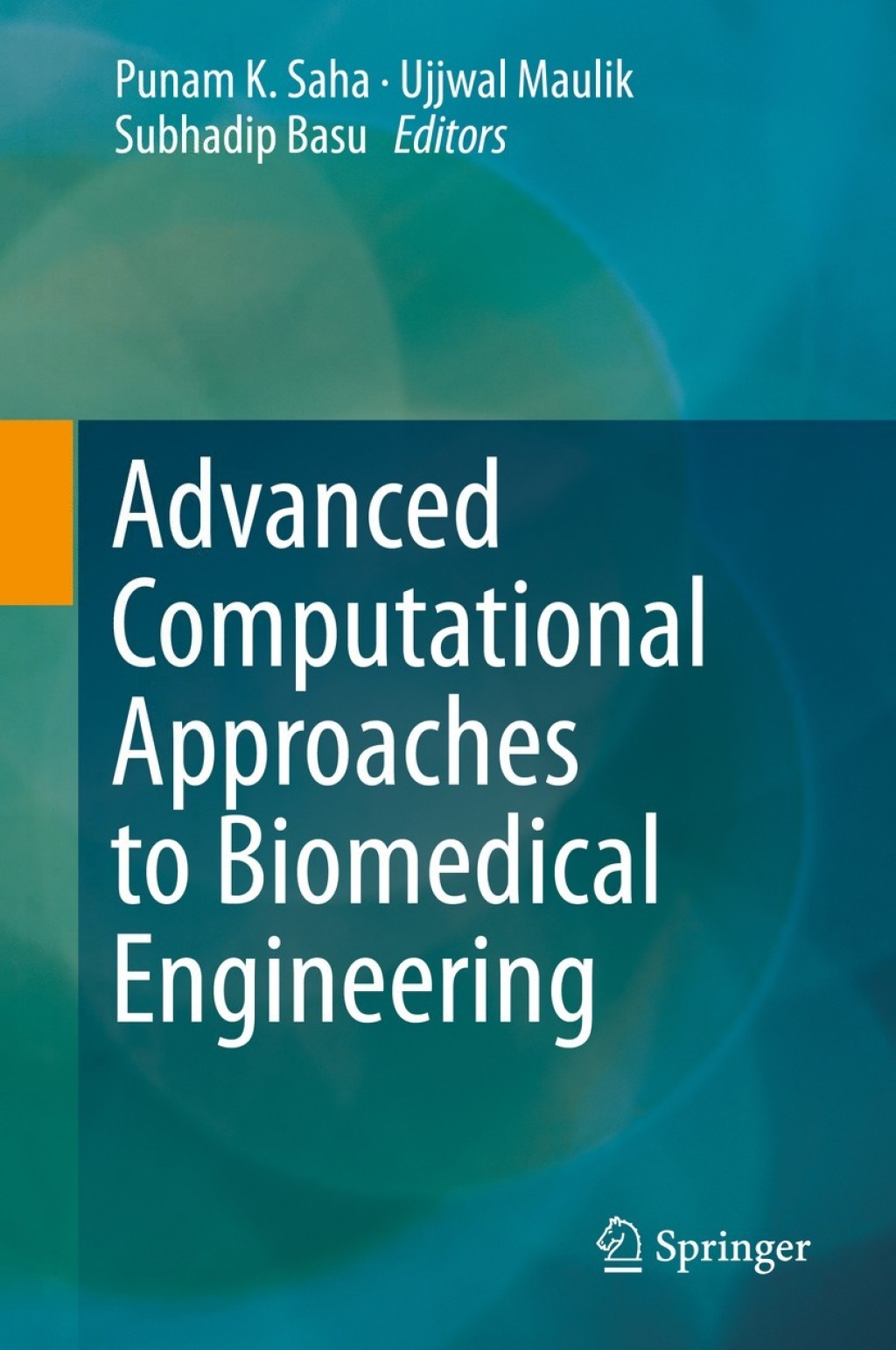 Advanced Computational Approaches to Biomedical Engineering 