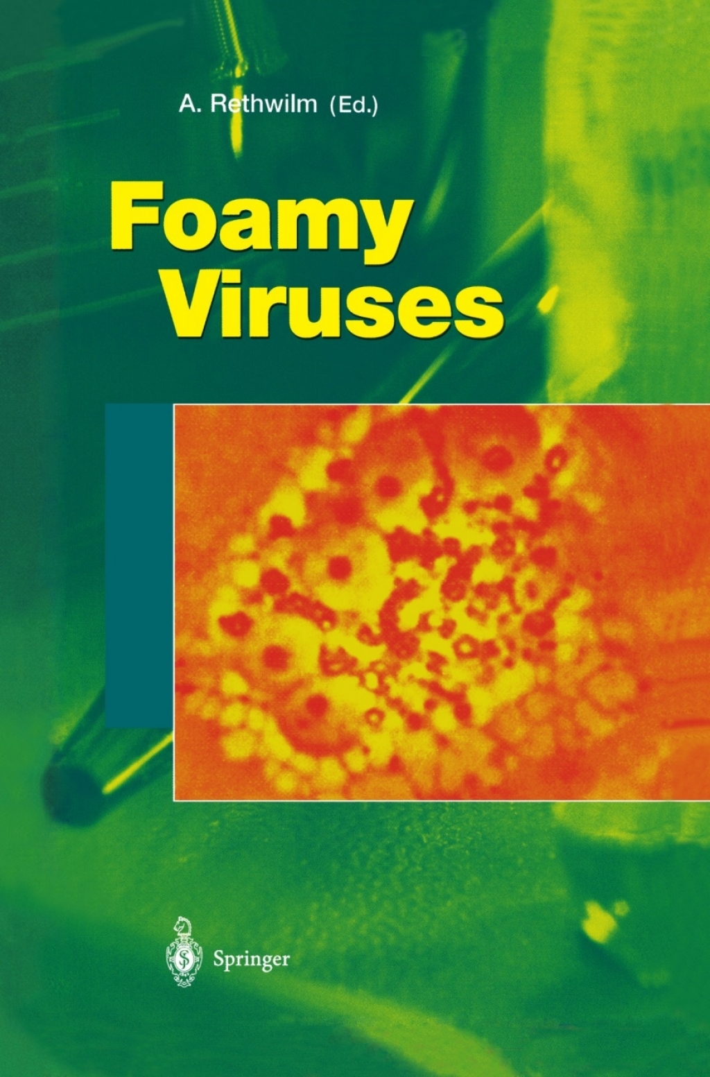 Foamy Viruses 1st Edition
