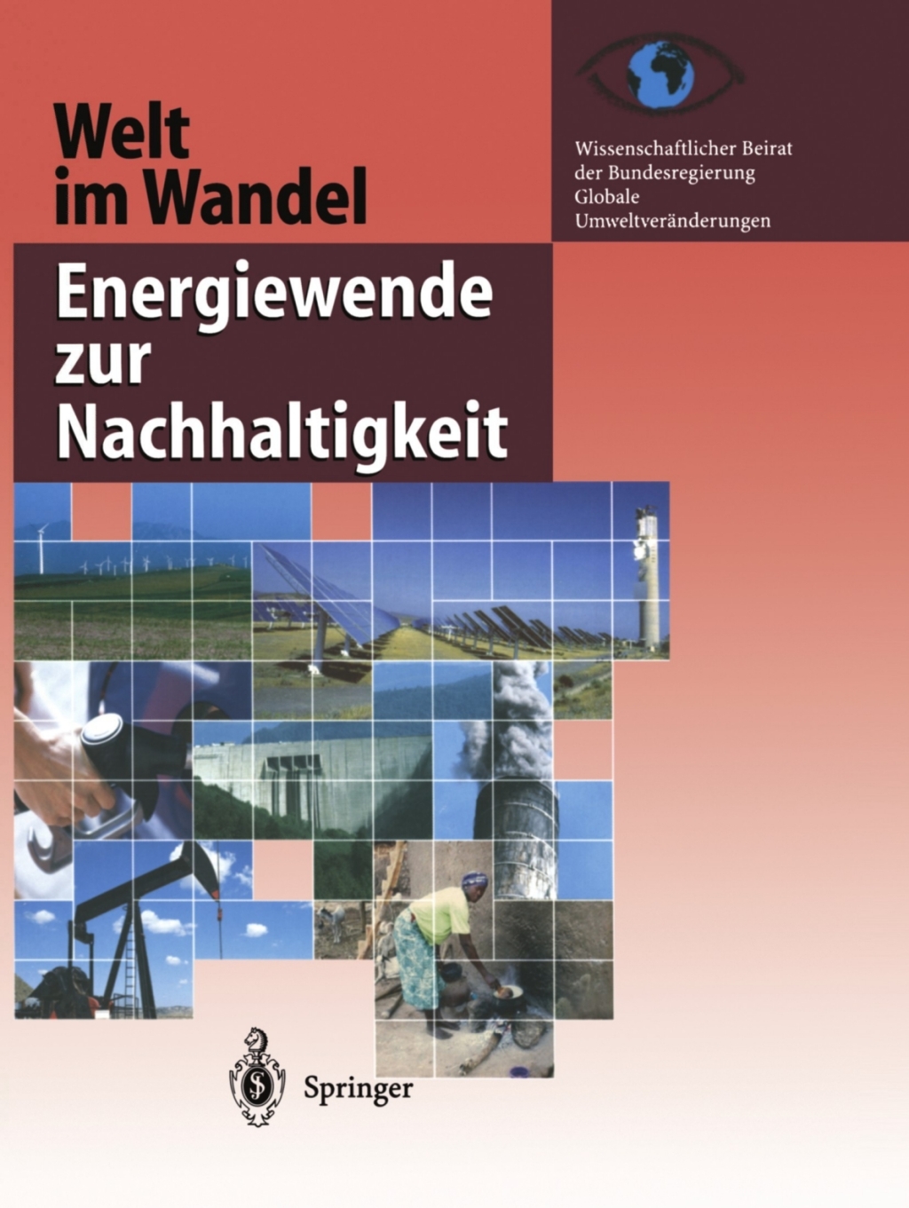 Welt im Wandel: Energiewende zur Nachhaltigkeit 1st Edition