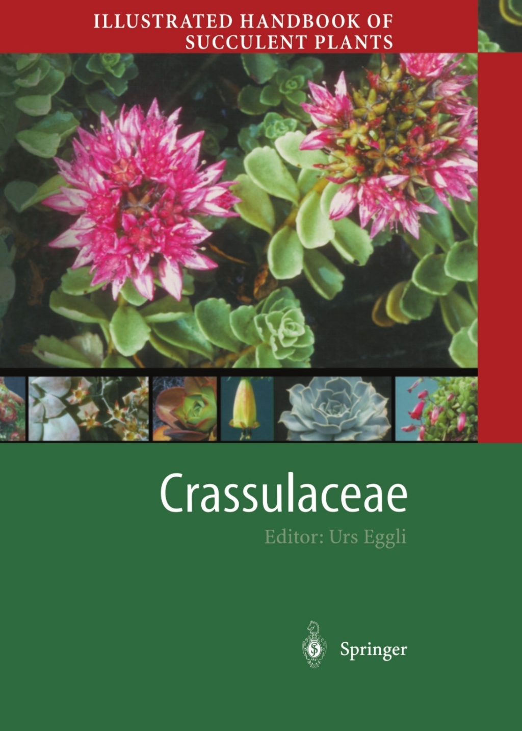 Illustrated Handbook of Succulent Plants: Crassulaceae 1st Edition