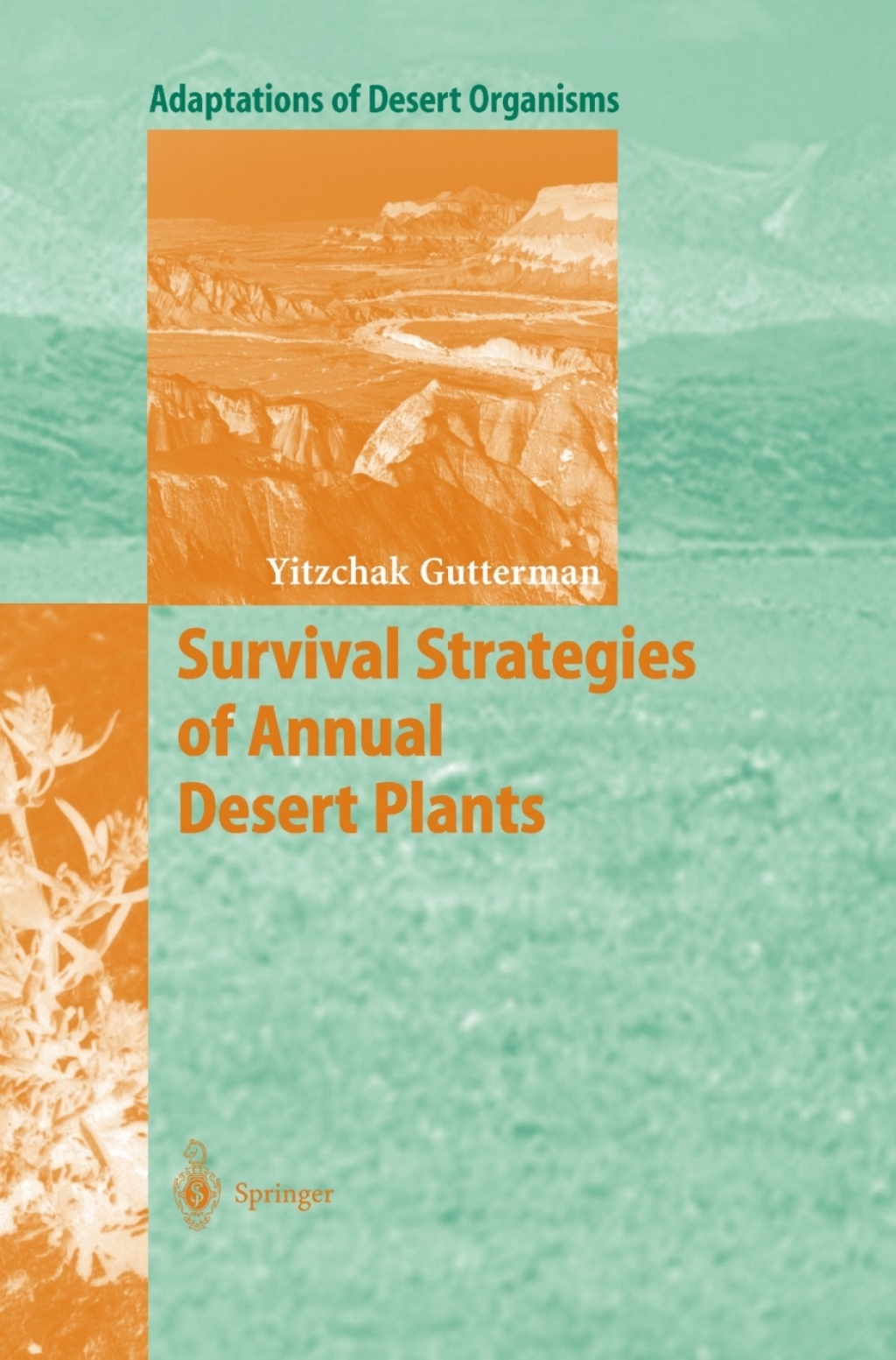 Survival Strategies of Annual Desert Plants 
