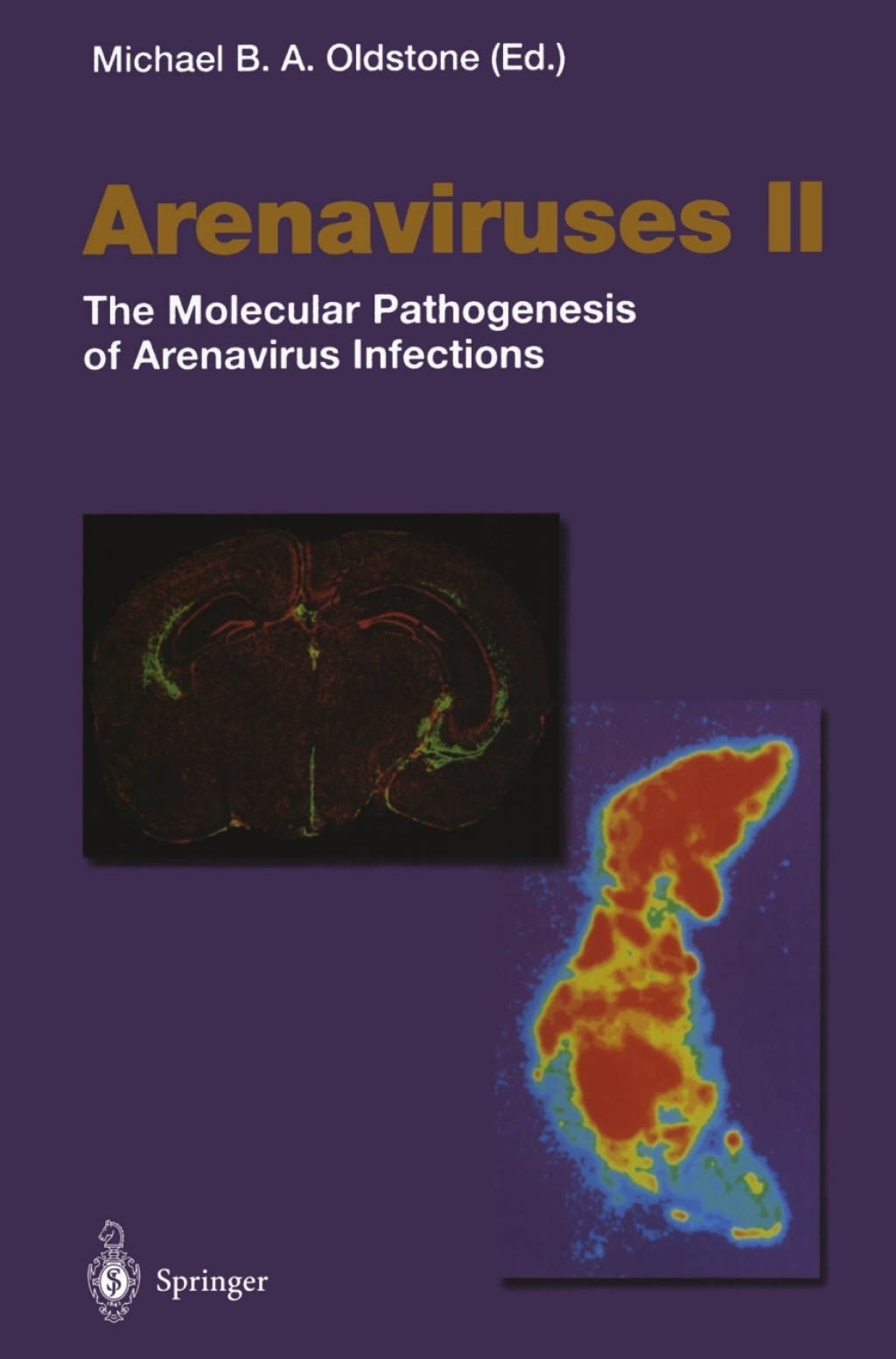 Arenaviruses II The Molecular Pathogenesis of Arenavirus Infections 1st Edition