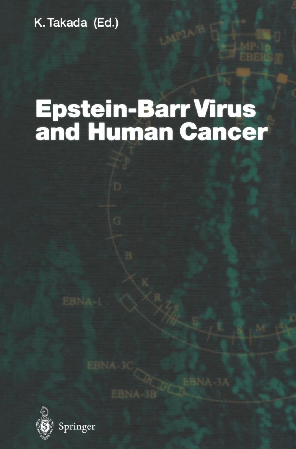 Epstein-Barr Virus and Human Cancer 1st Edition