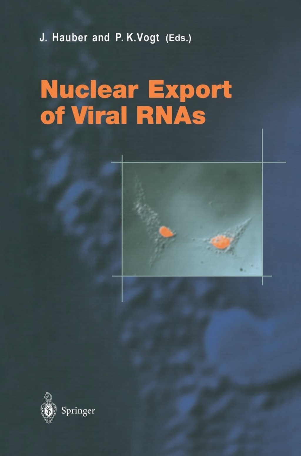 Nuclear Export of Viral RNAs 1st Edition