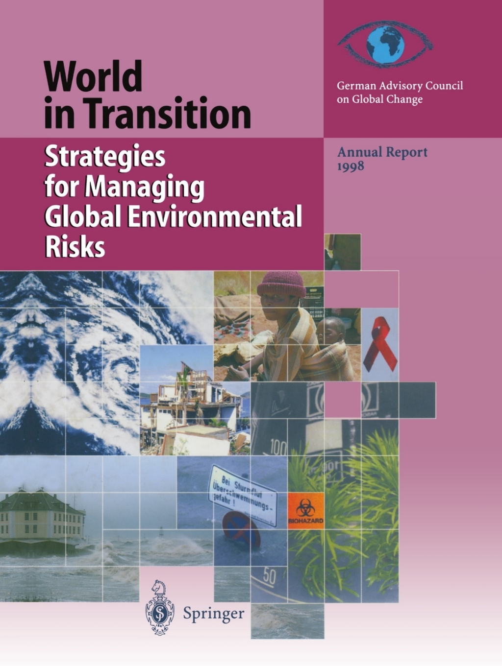 Strategies for Managing Global Environmental Risks Annual Report 1998 1st Edition