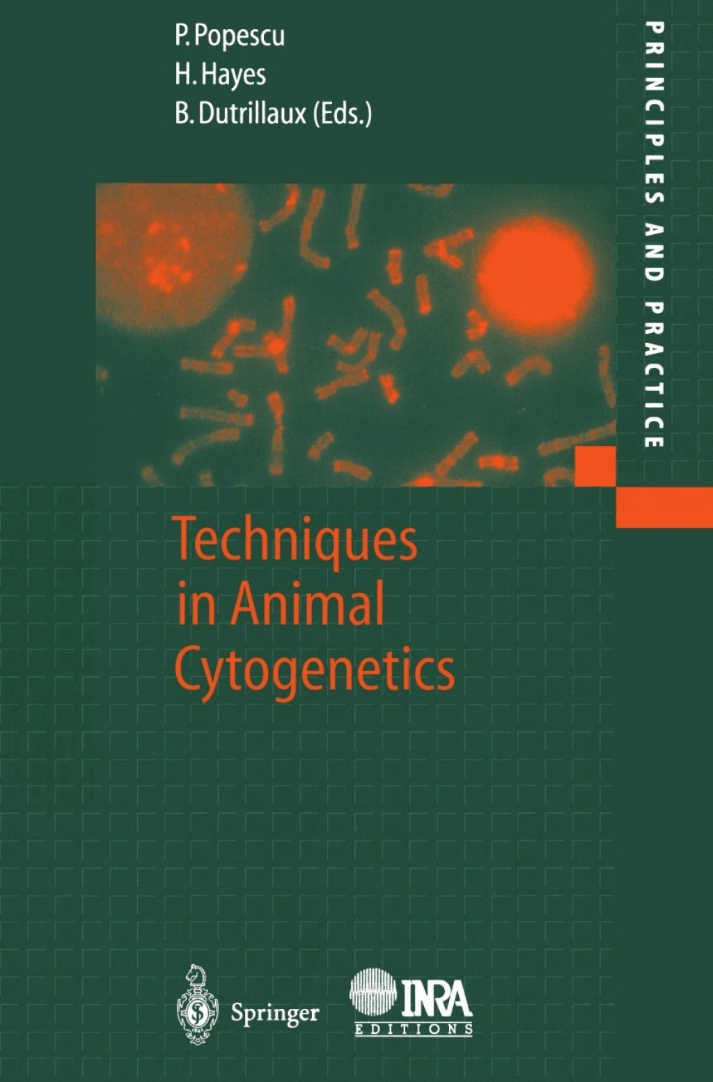 Techniques in Animal Cytogenetics 1st Edition