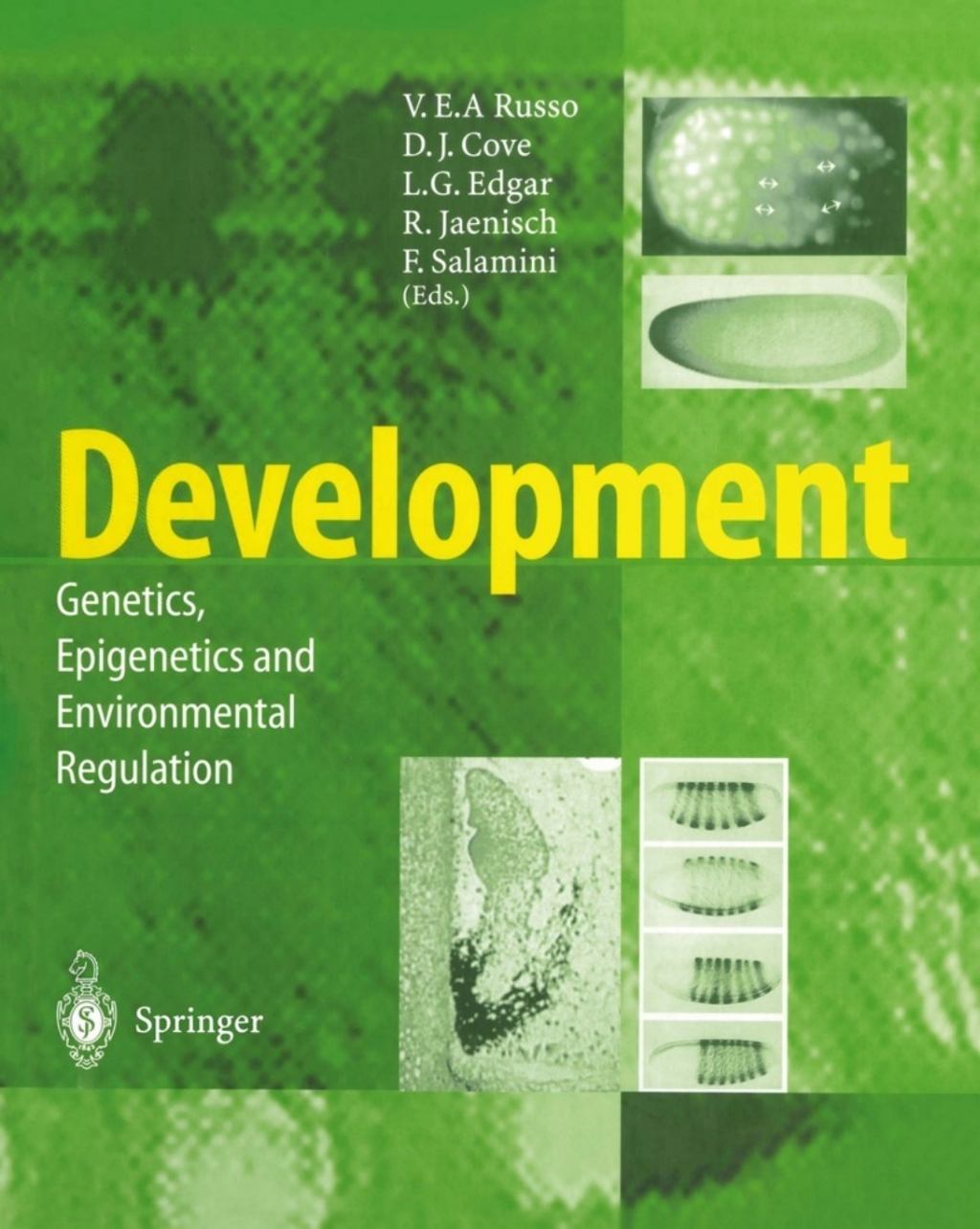 Development Genetics, Epigenetics and Environmental Regulation 1st Edition