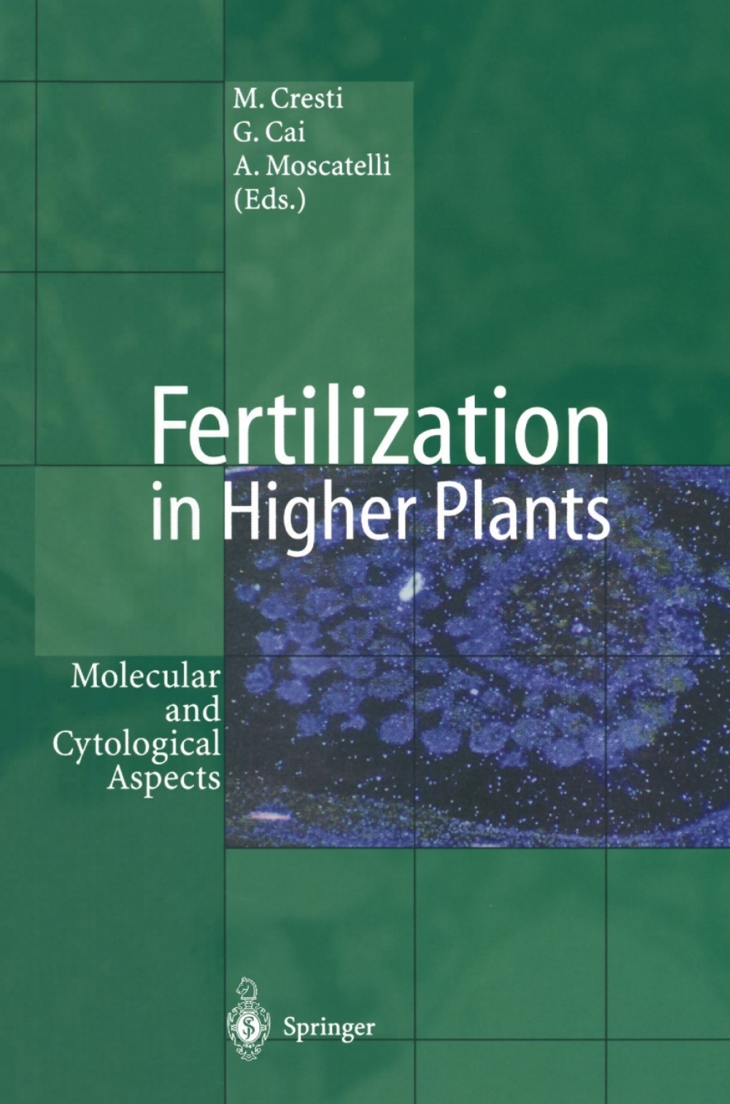Fertilization in Higher Plants Molecular and Cytological Aspects 1st Edition