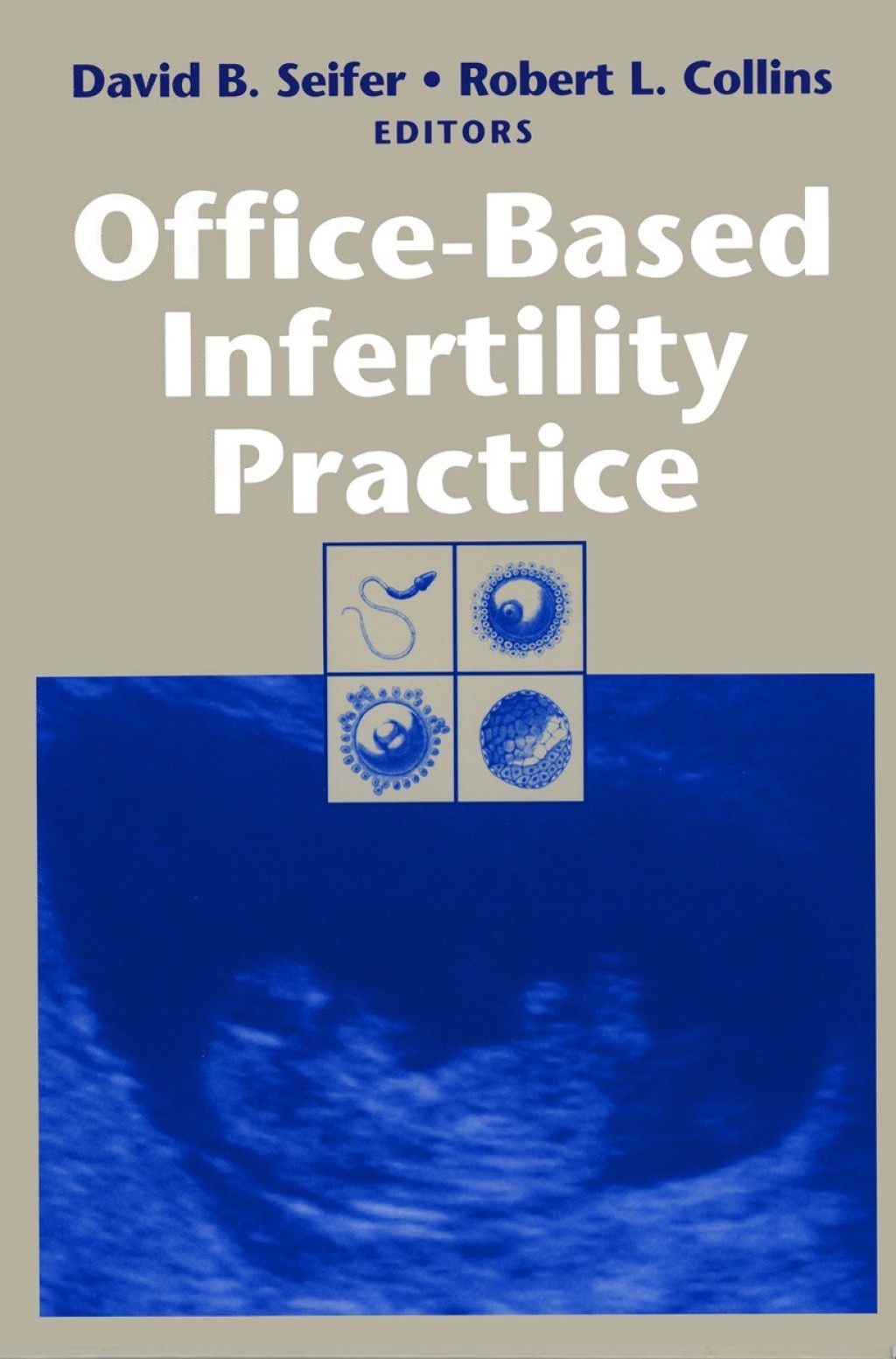 Office-Based Infertility Practice 1st Edition