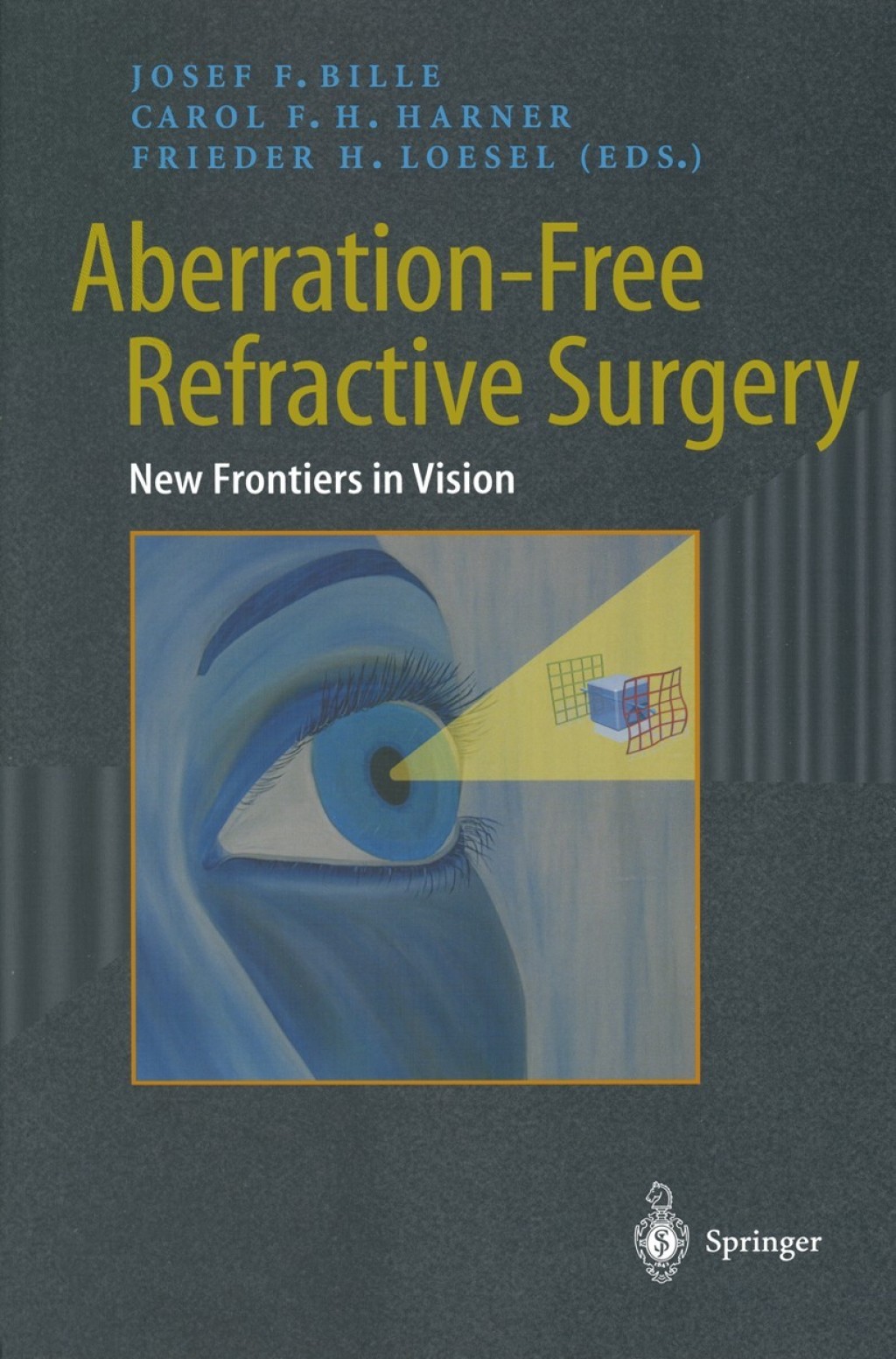Aberration-Free Refractive Surgery New Frontiers in Vision 1st Edition