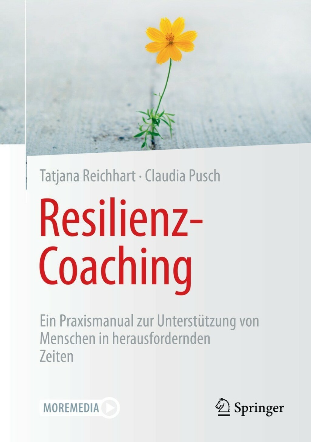 Resilienz-Coaching Ein Praxismanual zur UnterstÃƒÂ¼tzung von Menschen in herausfordernden Zeiten 
