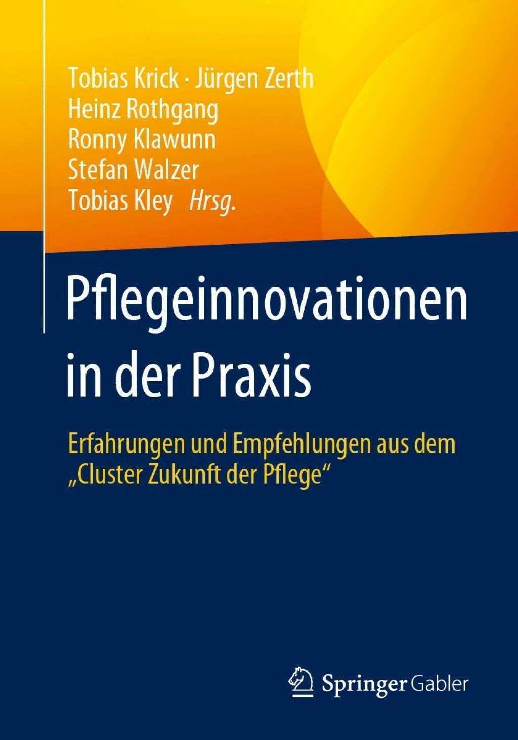 Pflegeinnovationen in der Praxis Erfahrungen und Empfehlungen aus dem Ã¢â‚¬Å¾Cluster Zukunft der PflegeÃ¢â‚¬Å“ 