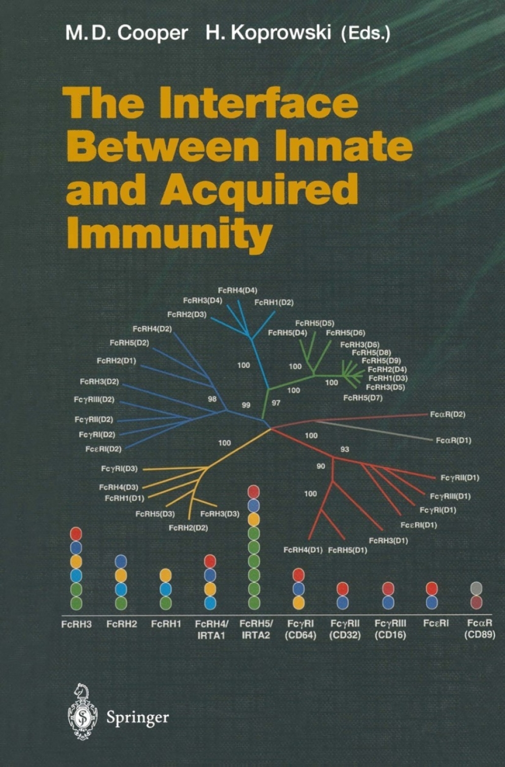The Interface Between Innate and Acquired Immunity 1st Edition