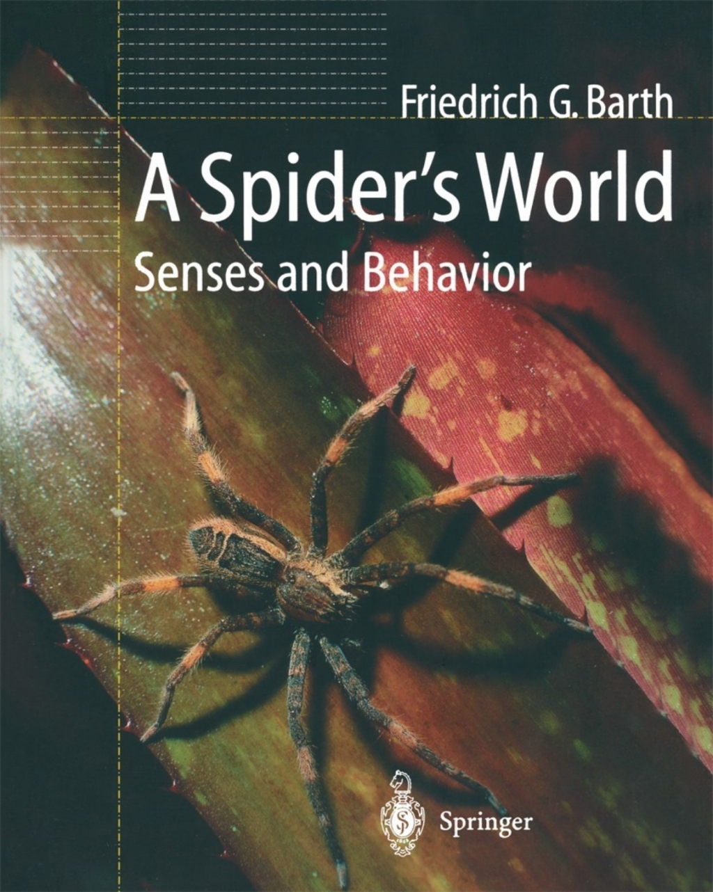 A SpiderÃ¢â‚¬â„¢s World 