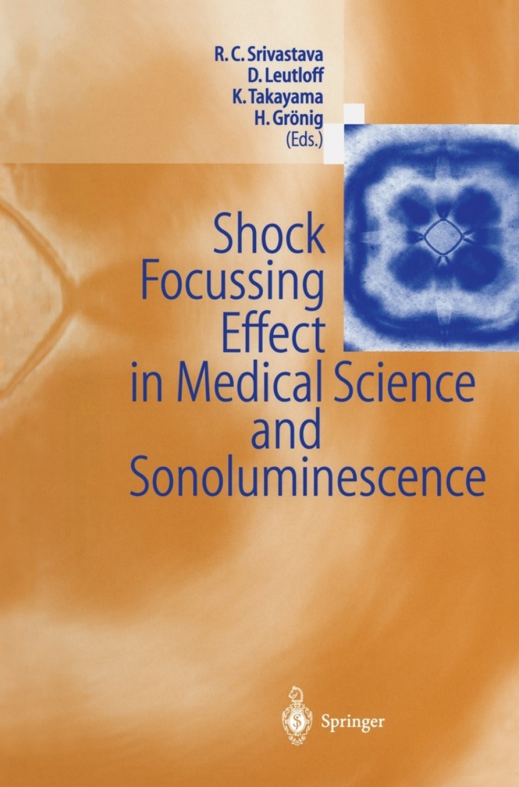 Shock Focussing Effect in Medical Science and Sonoluminescence 1st Edition